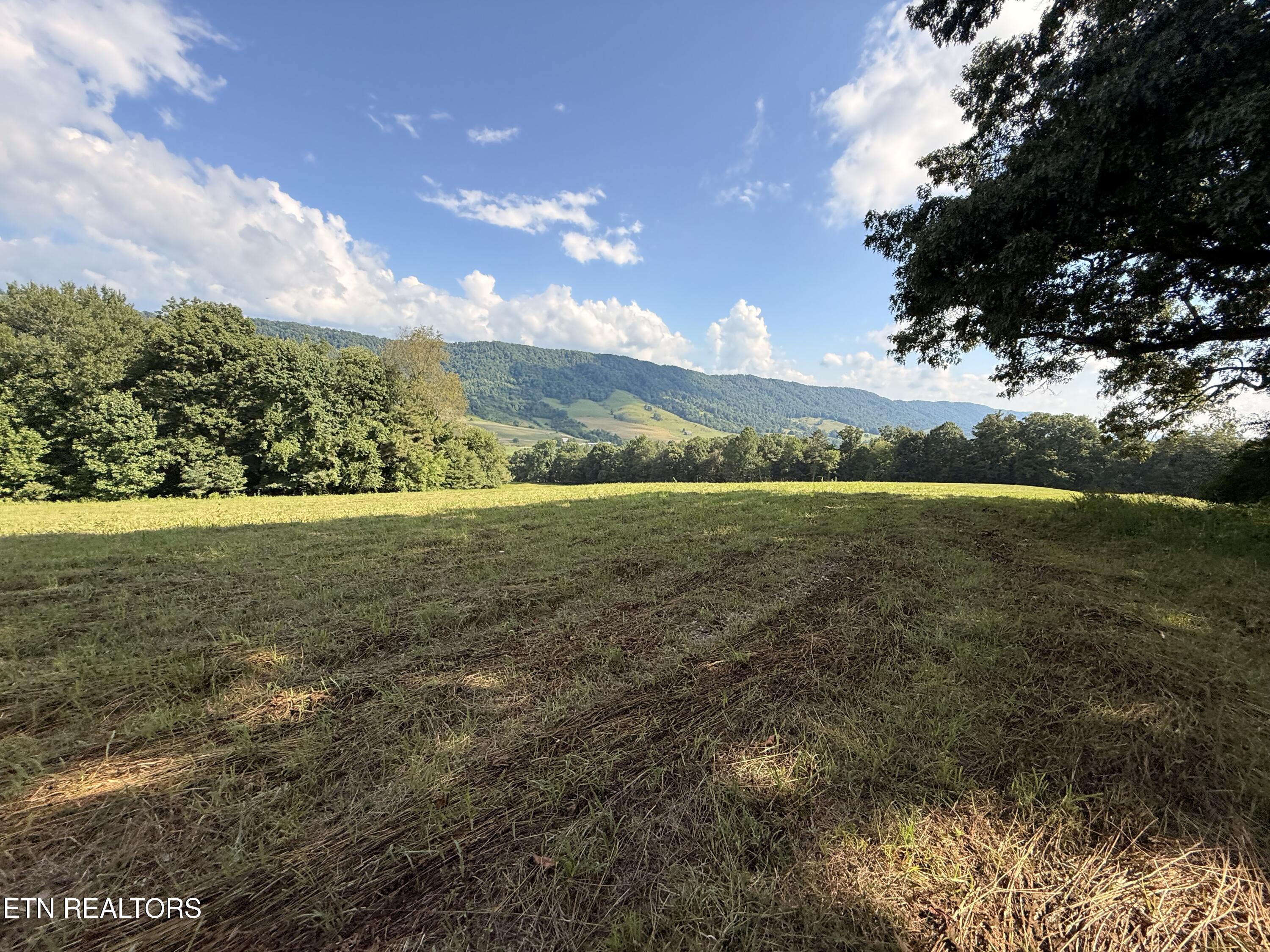 4194 Little Sycamore Road Tazewell TN 37879