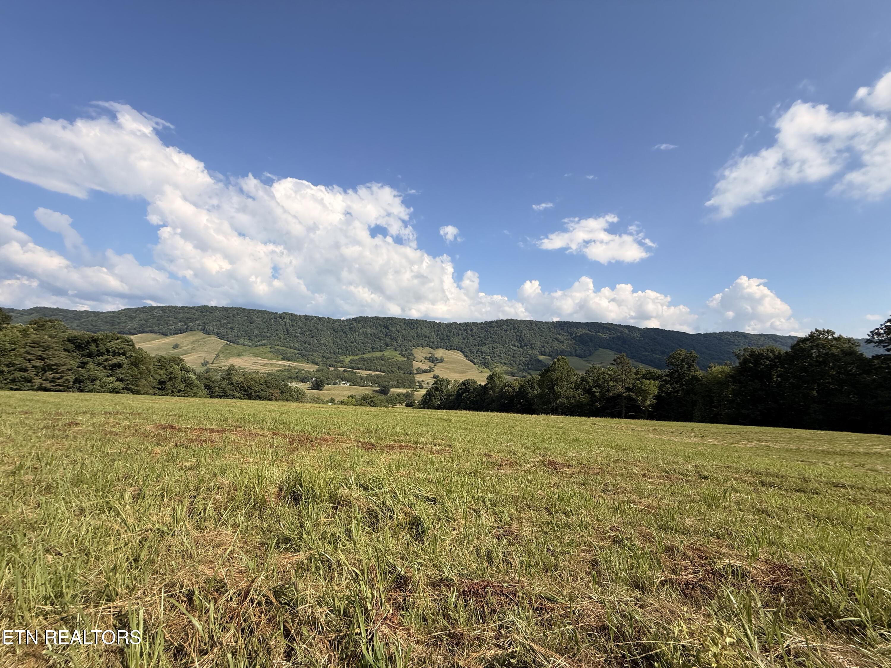 4194 Little Sycamore Road Tazewell TN 37879