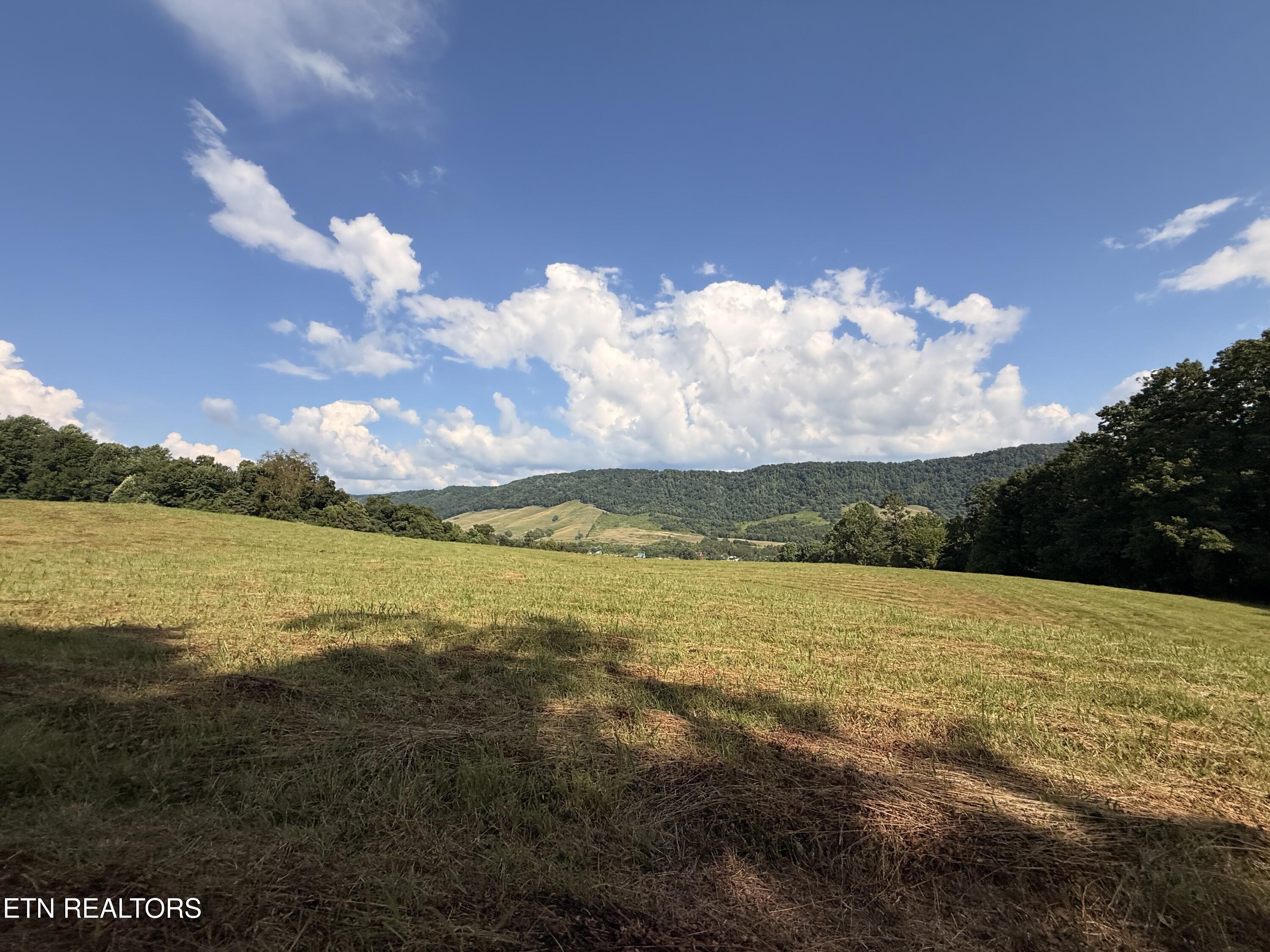 4194 Little Sycamore Road Tazewell TN 37879