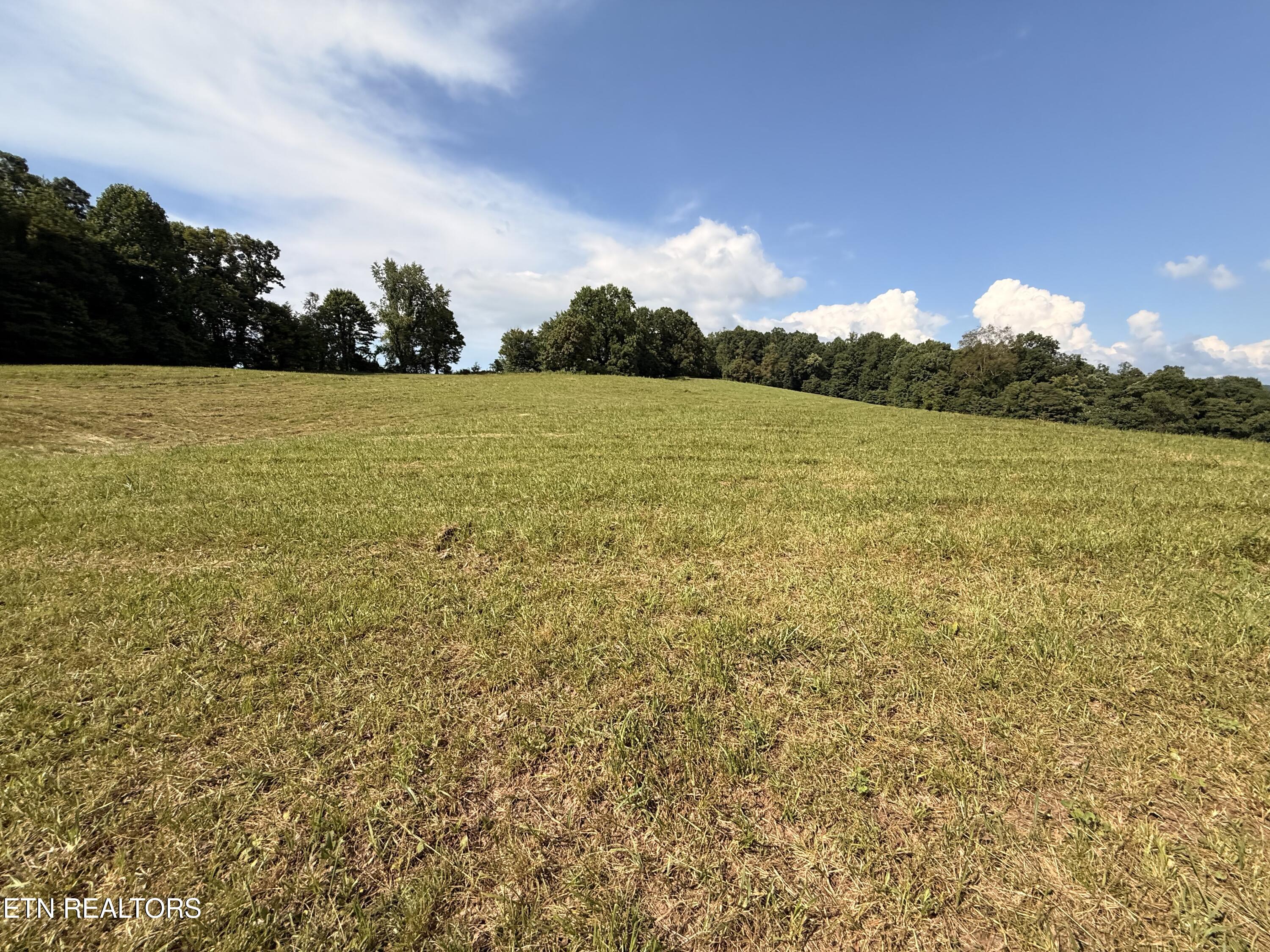 4194 Little Sycamore Road Tazewell TN 37879