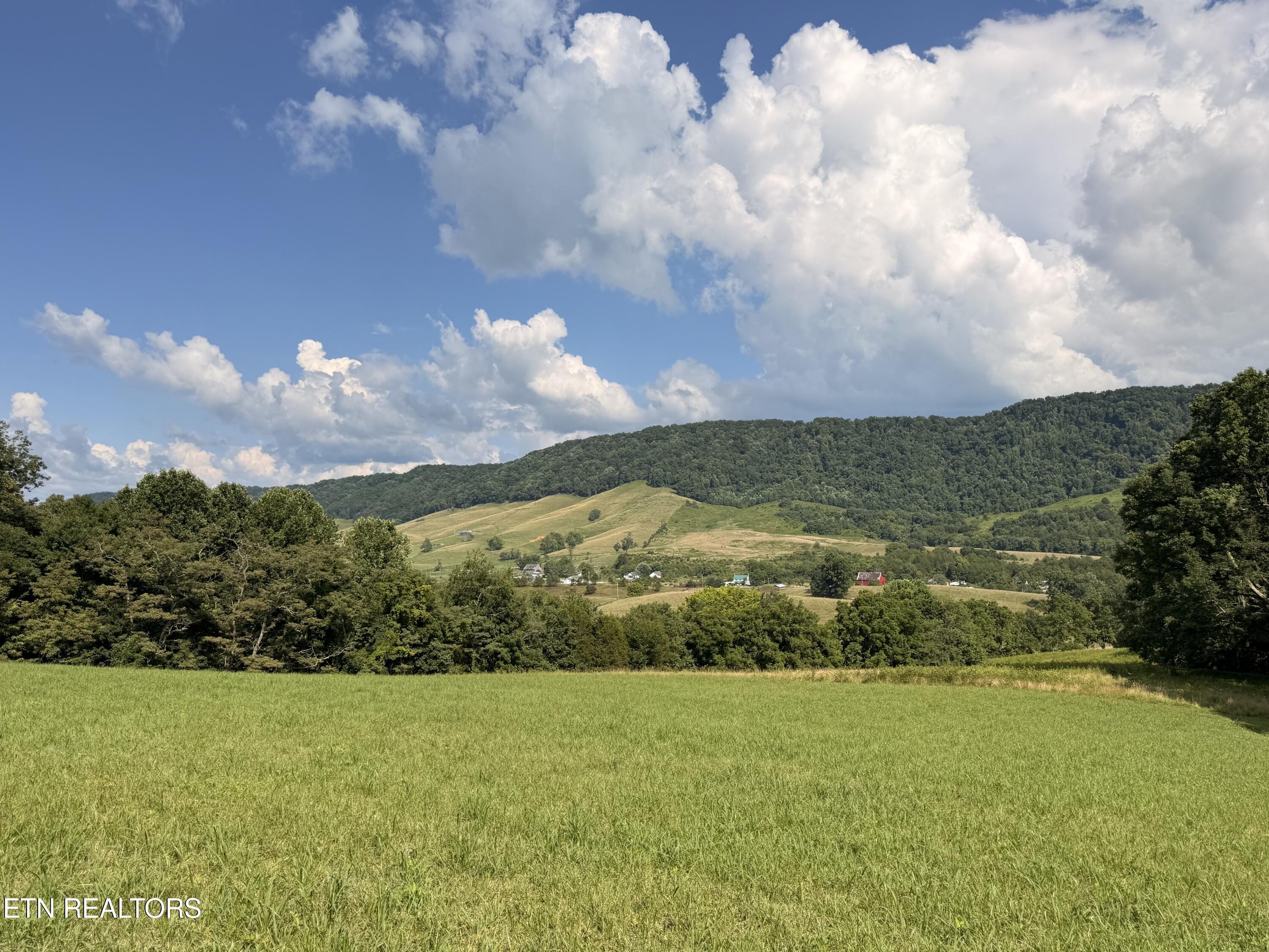 4194 Little Sycamore Road Tazewell TN 37879