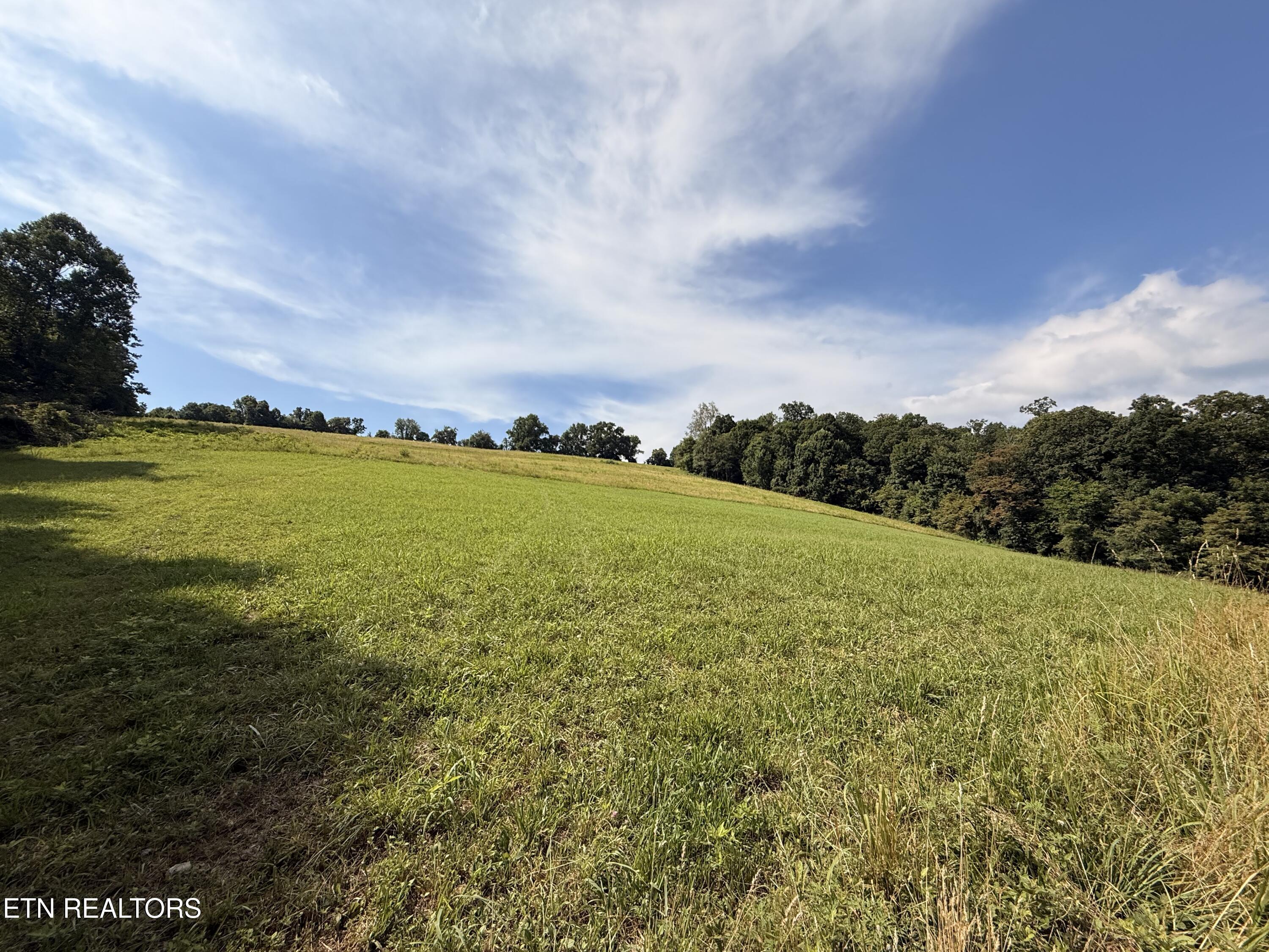 4194 Little Sycamore Road Tazewell TN 37879