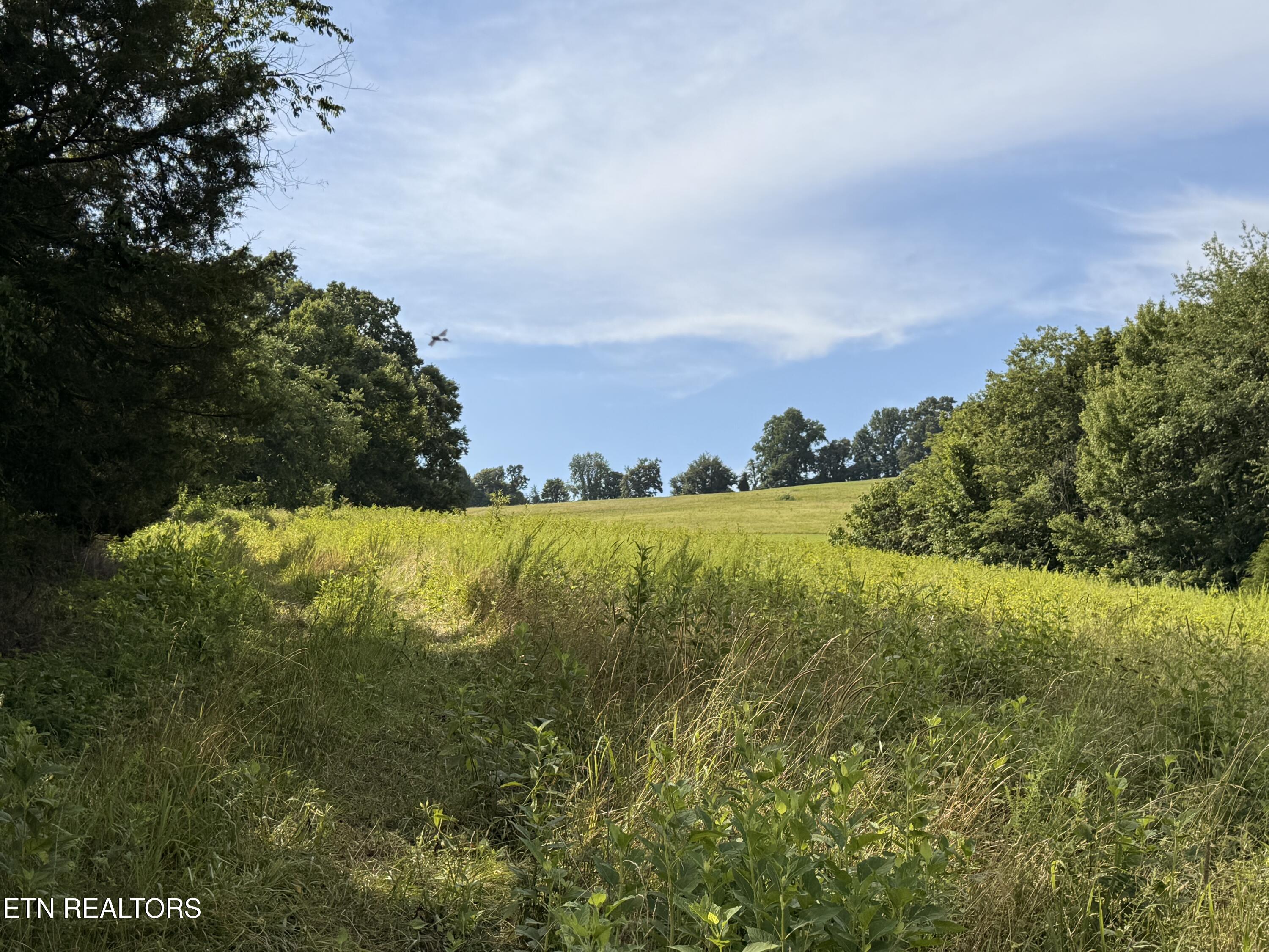 4194 Little Sycamore Road Tazewell TN 37879