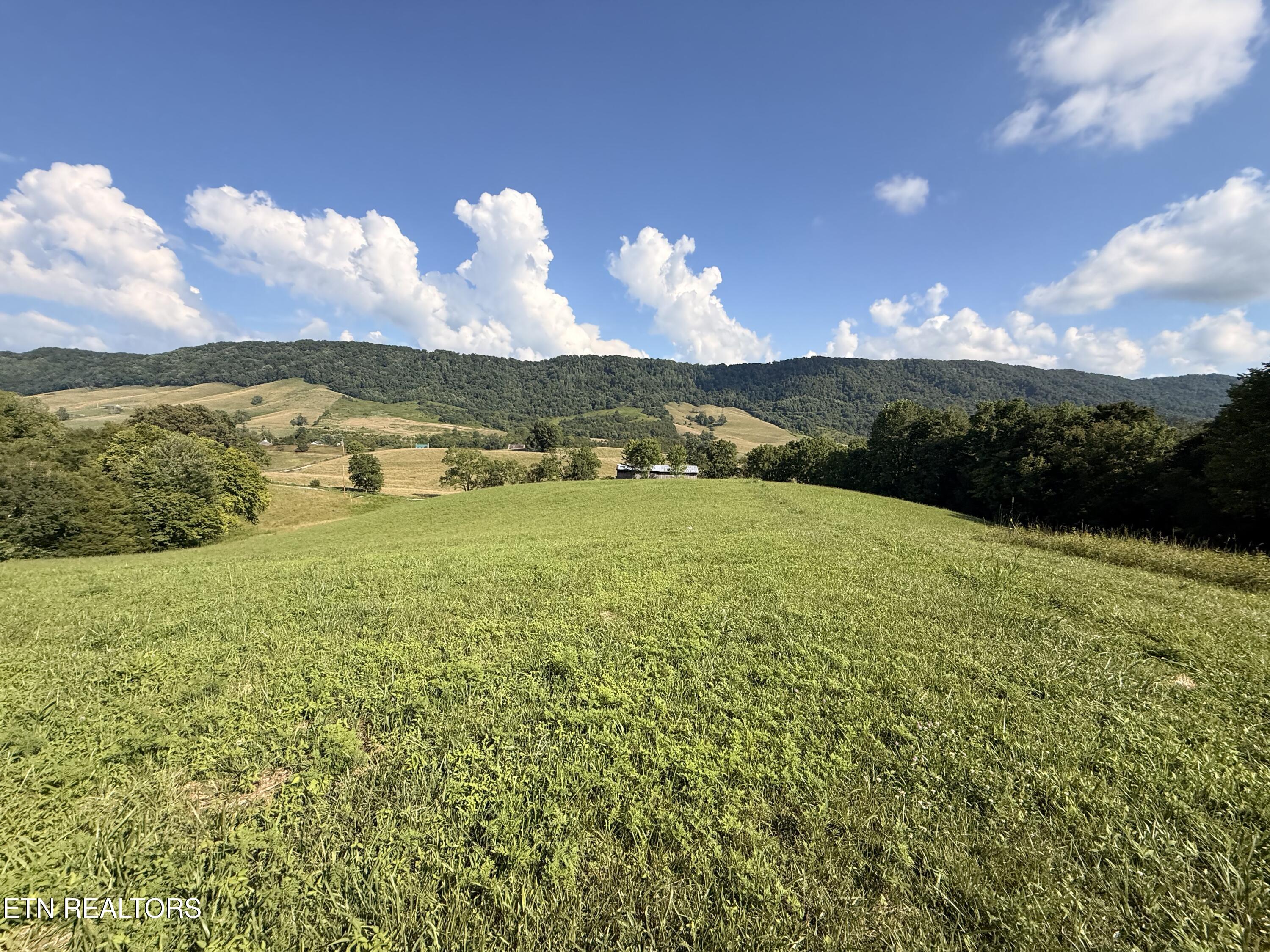4194 Little Sycamore Road Tazewell TN 37879