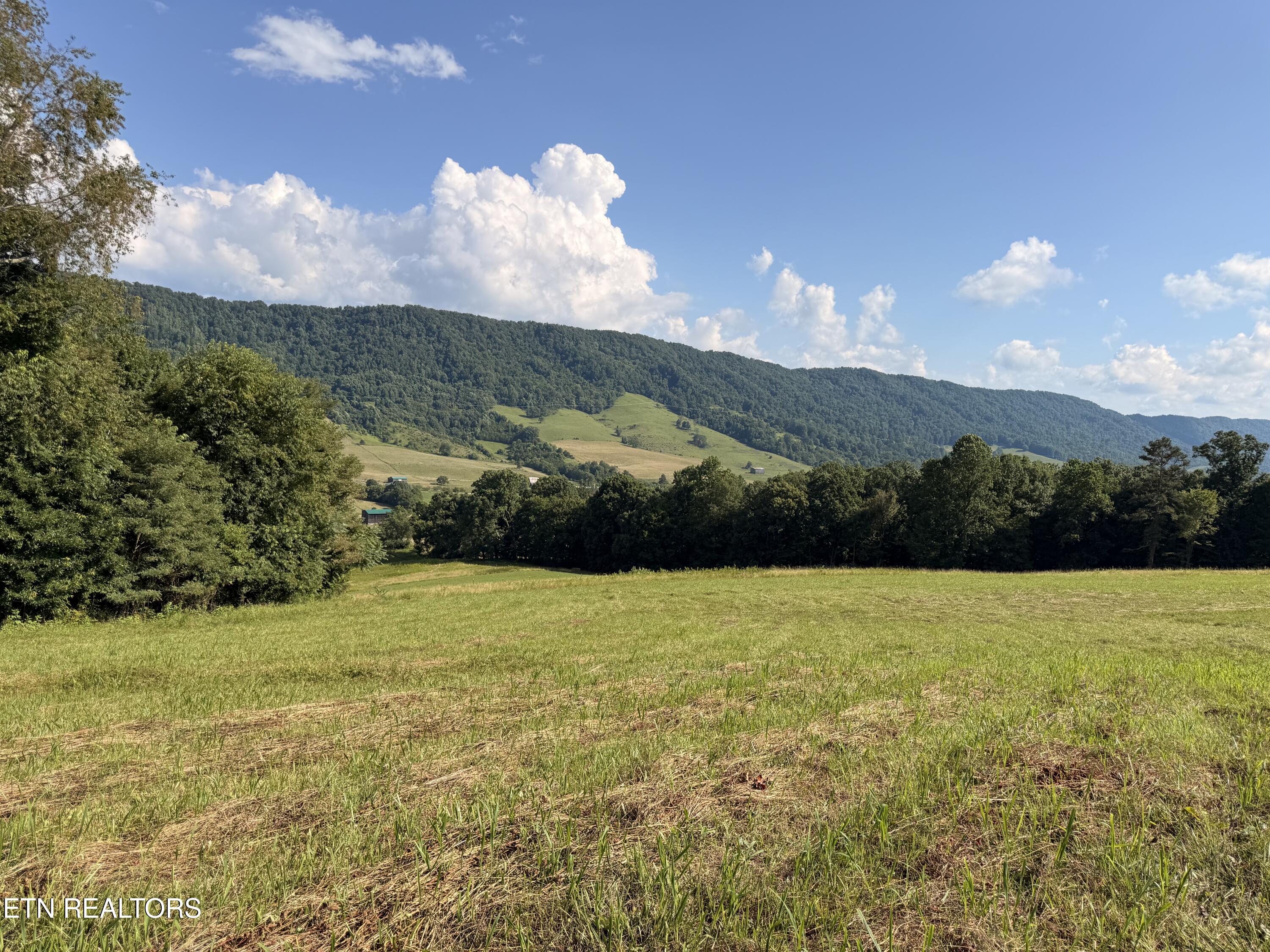 4194 Little Sycamore Road Tazewell TN 37879