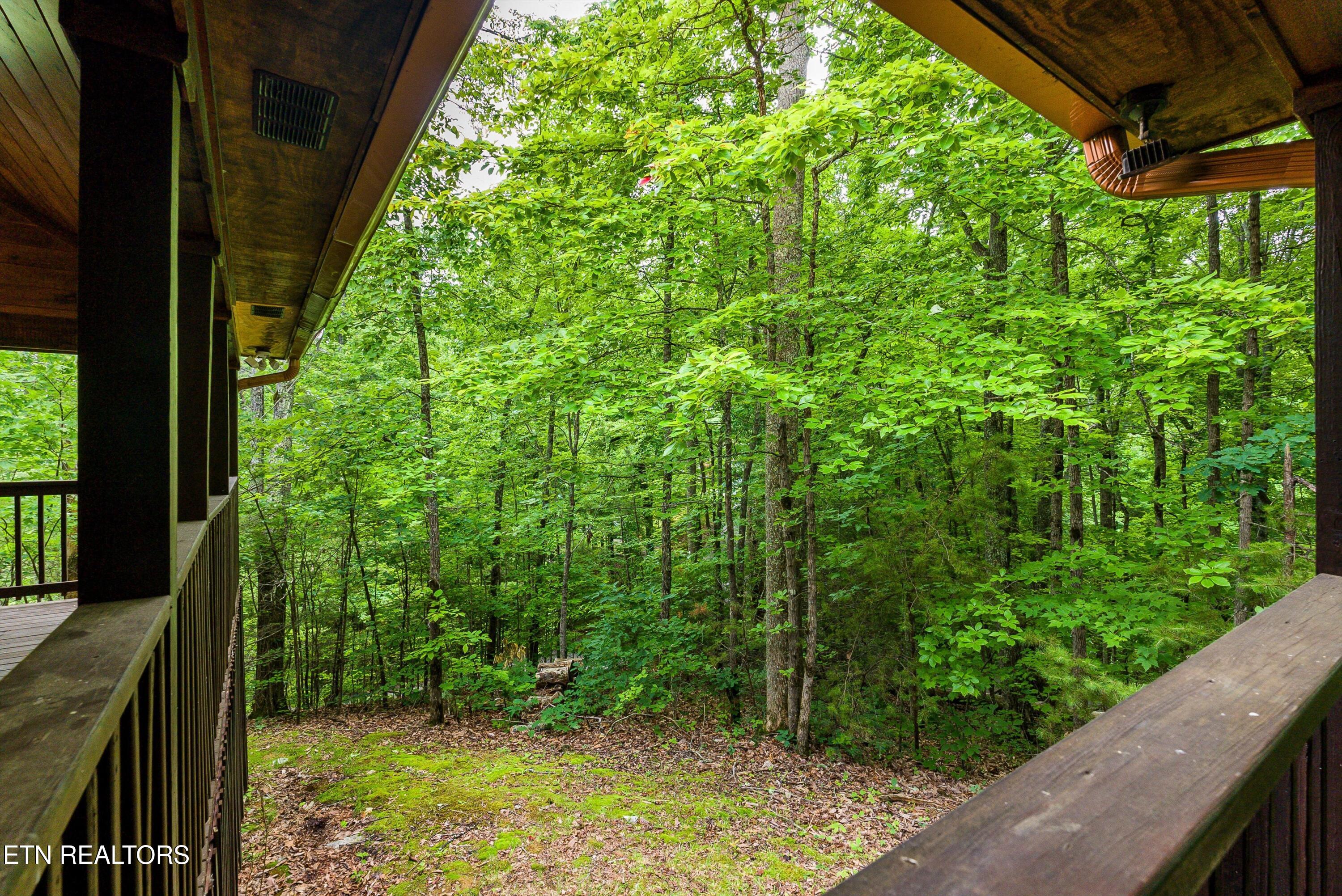 2650 Grassy Branch Loop Sevierville TN 37876