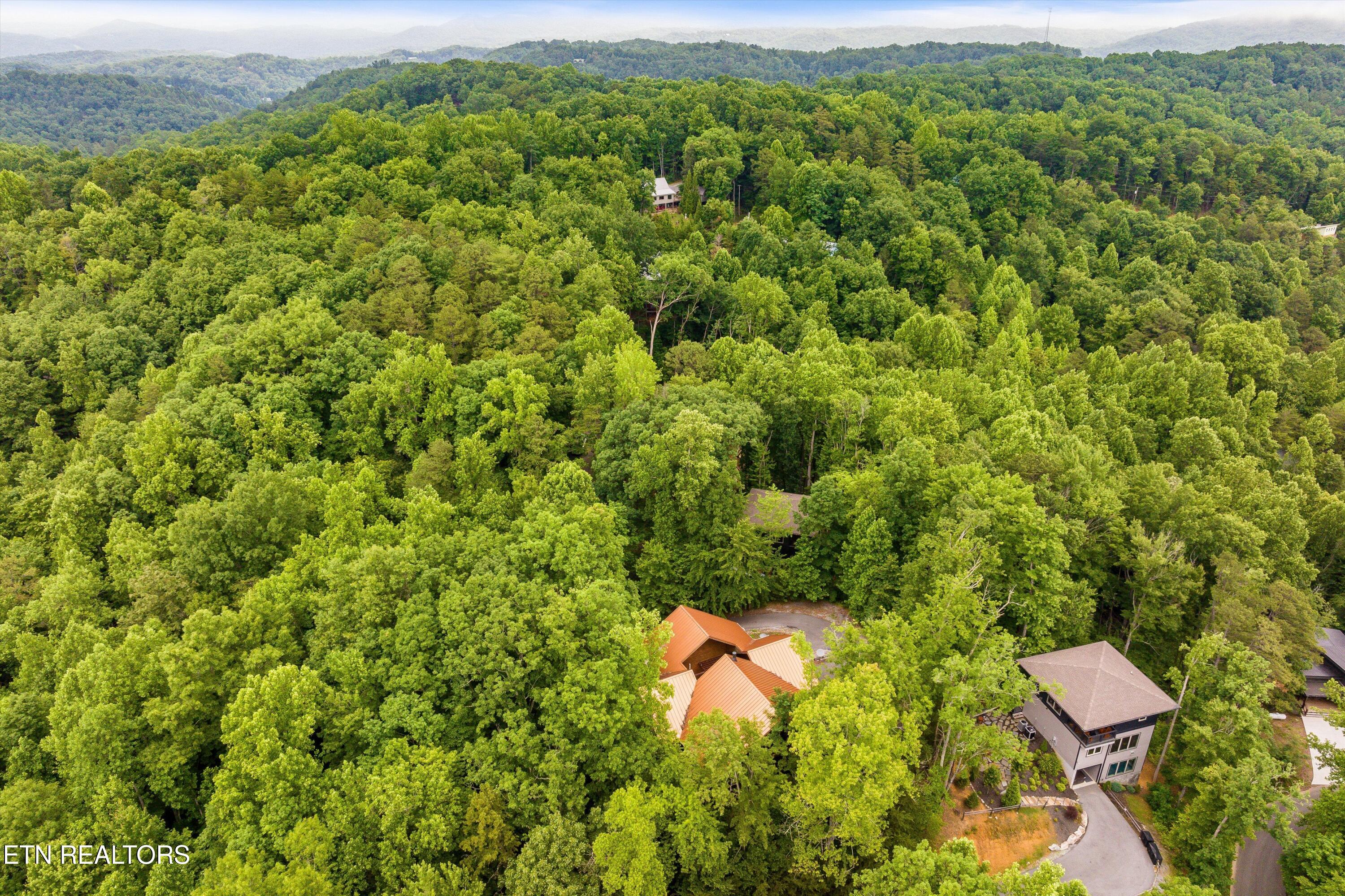 2650 Grassy Branch Loop Sevierville TN 37876