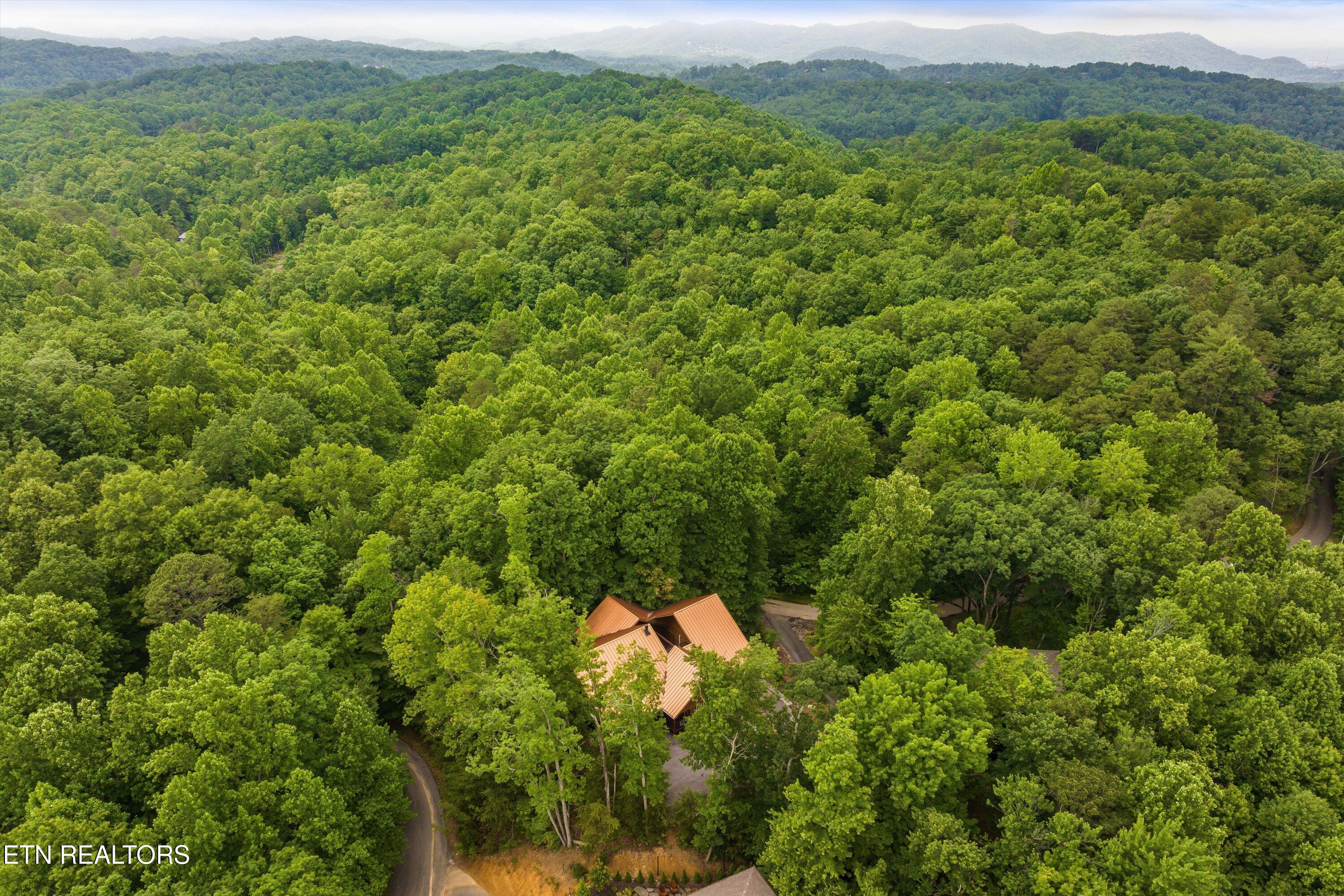 2650 Grassy Branch Loop Sevierville TN 37876