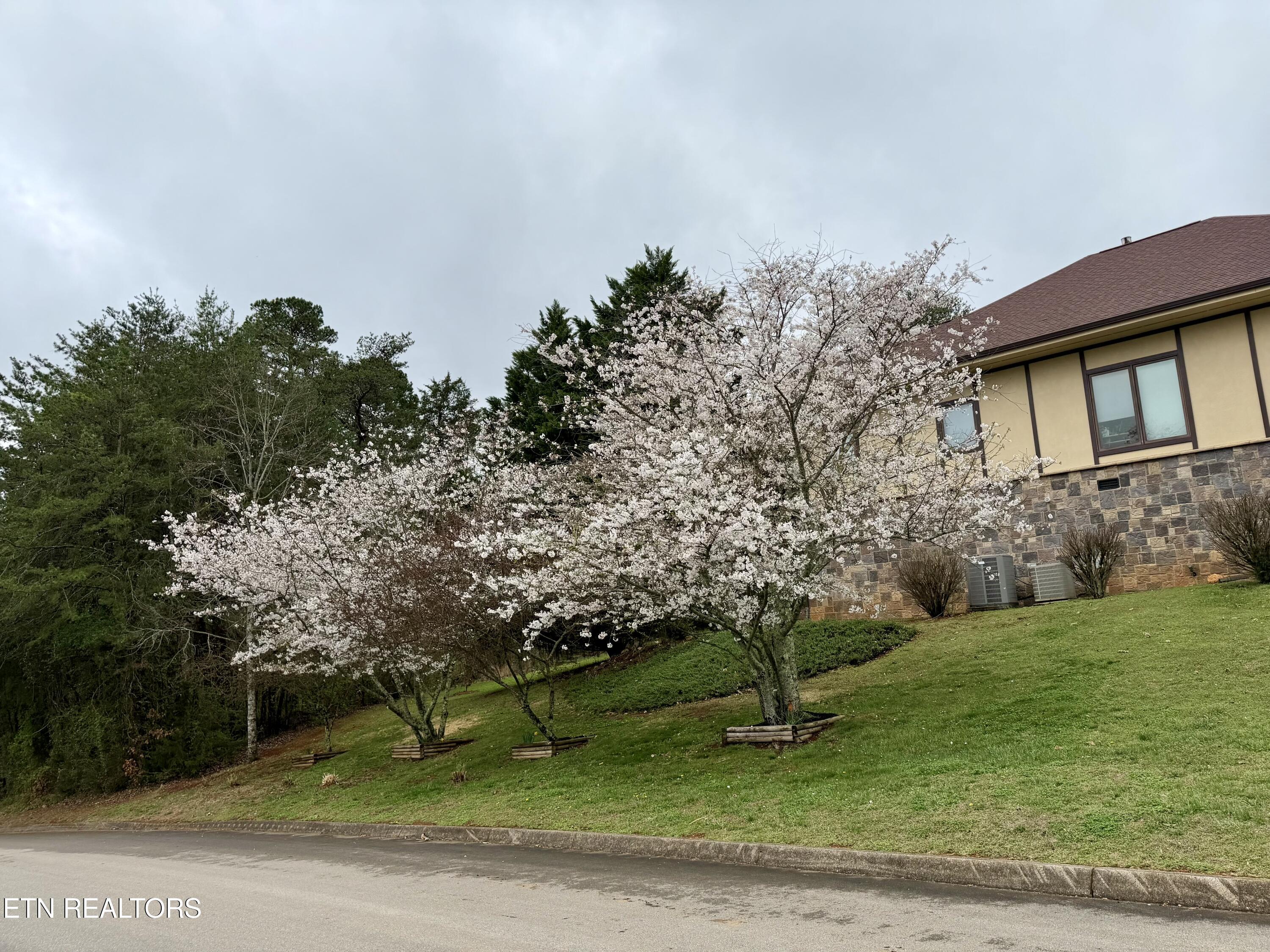 135 Bluffton Road Friendsville TN 37737