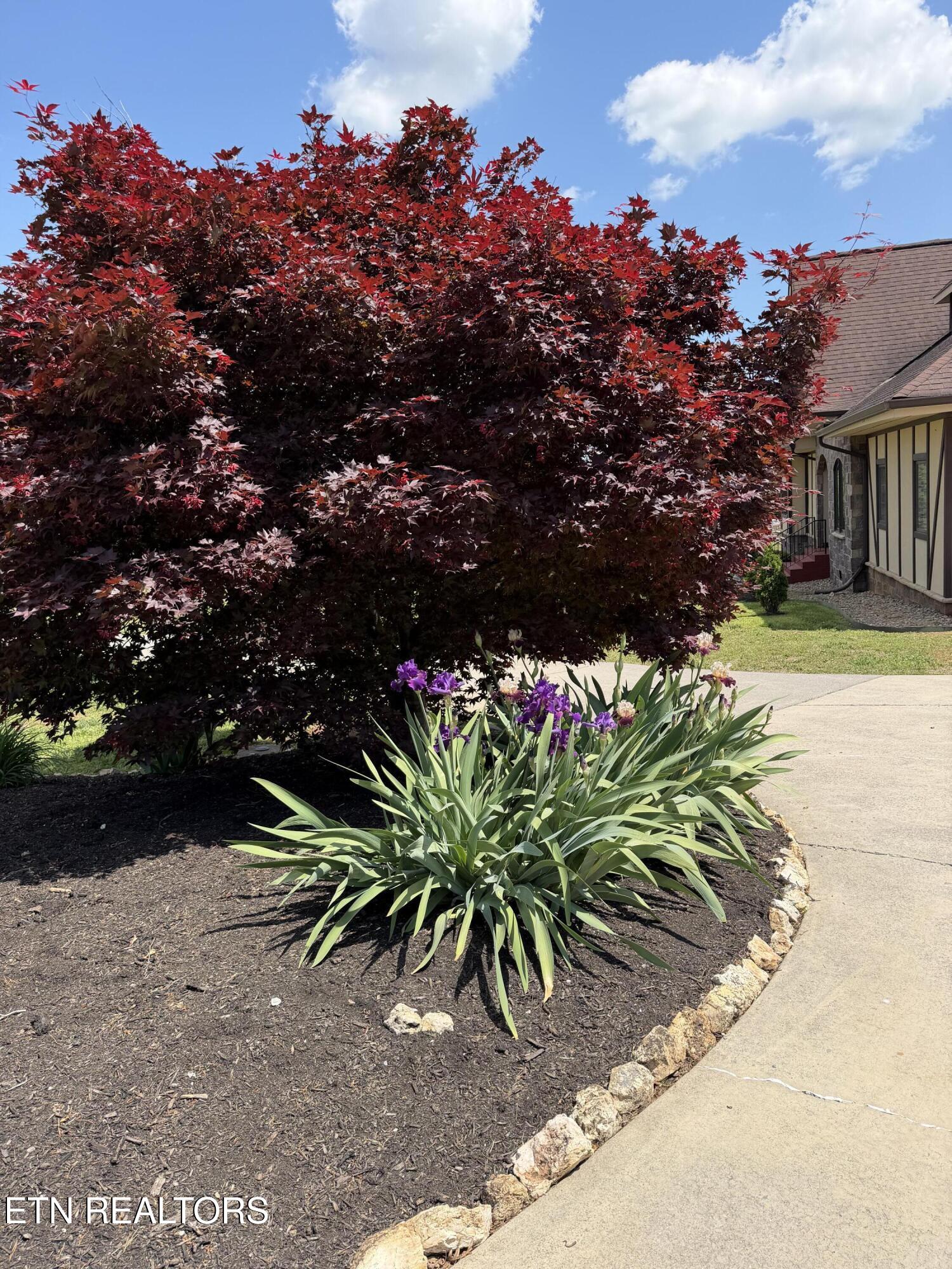 135 Bluffton Road Friendsville TN 37737
