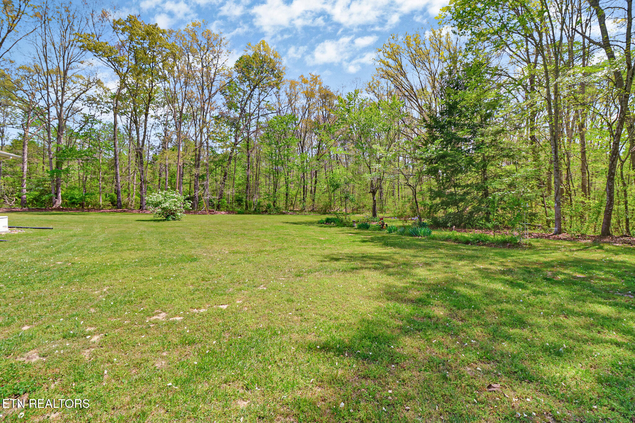 116 Joel Reagan Lane Jamestown TN 38556