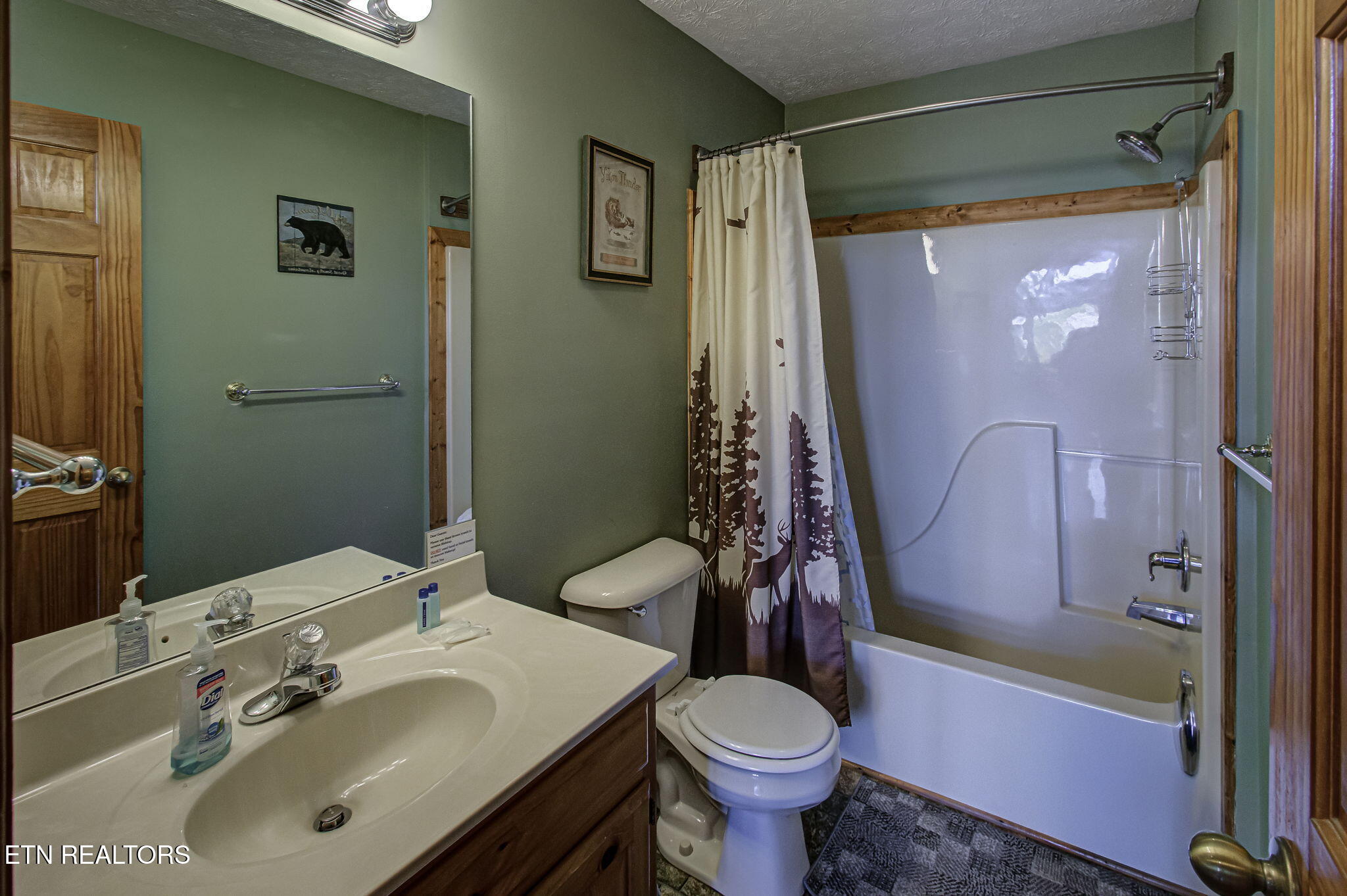 2409 Walnut Cove Way Sevierville TN 37862