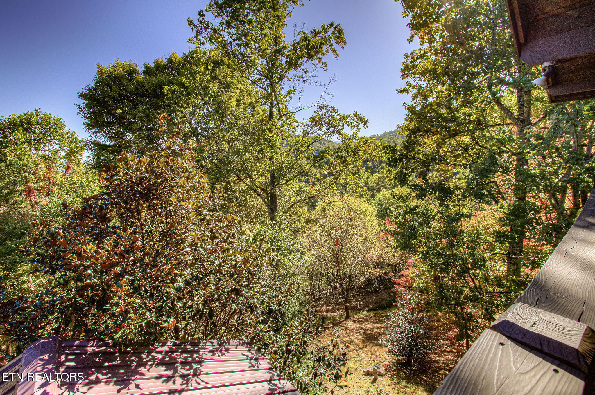 2409 Walnut Cove Way Sevierville TN 37862