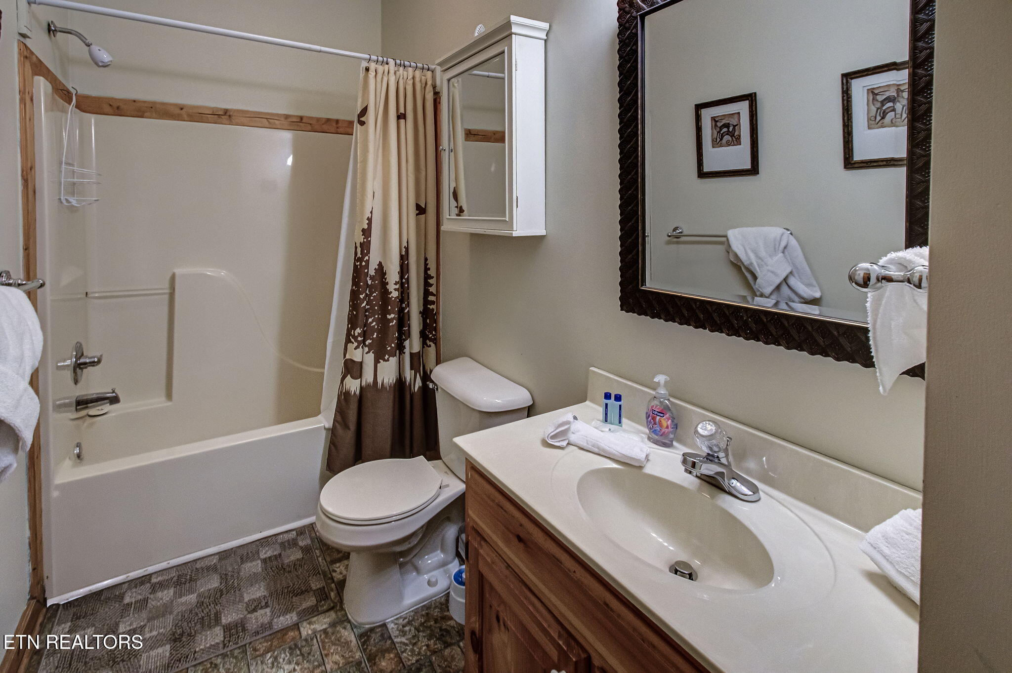 2409 Walnut Cove Way Sevierville TN 37862