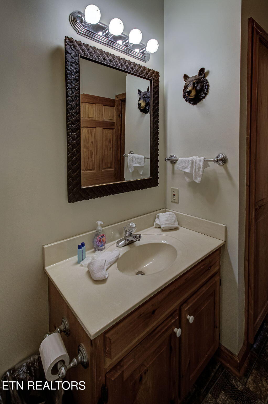 2409 Walnut Cove Way Sevierville TN 37862