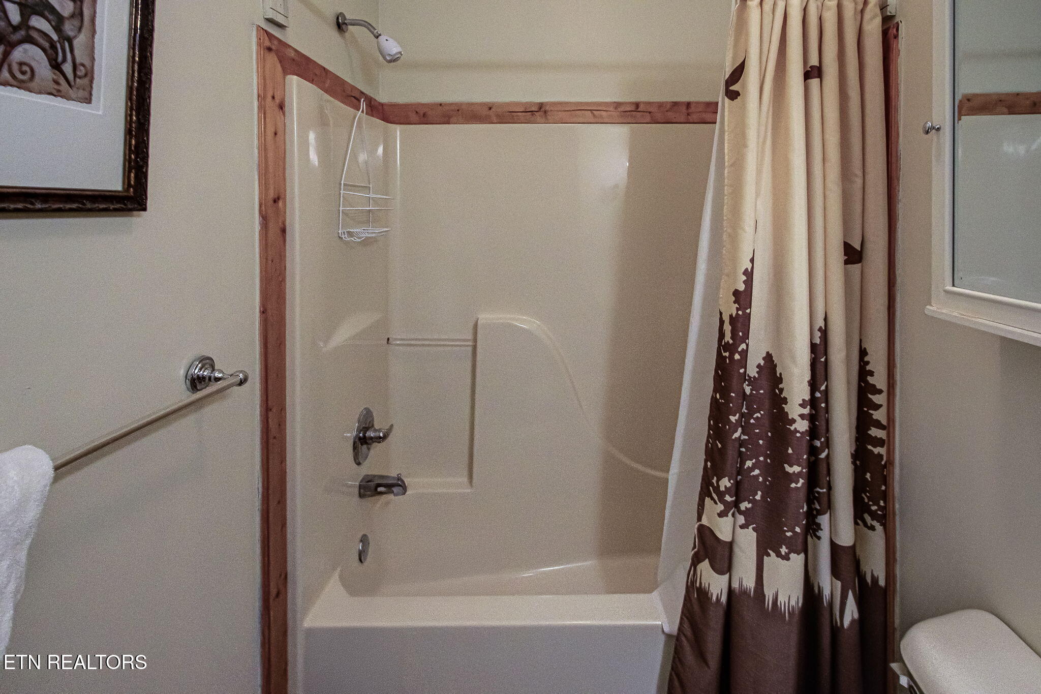 2409 Walnut Cove Way Sevierville TN 37862