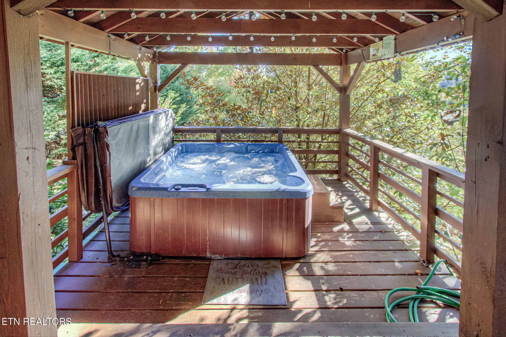 2409 Walnut Cove Way Sevierville TN 37862