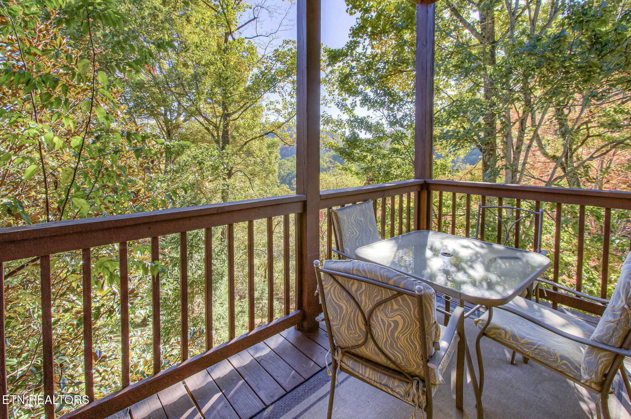 2409 Walnut Cove Way Sevierville TN 37862