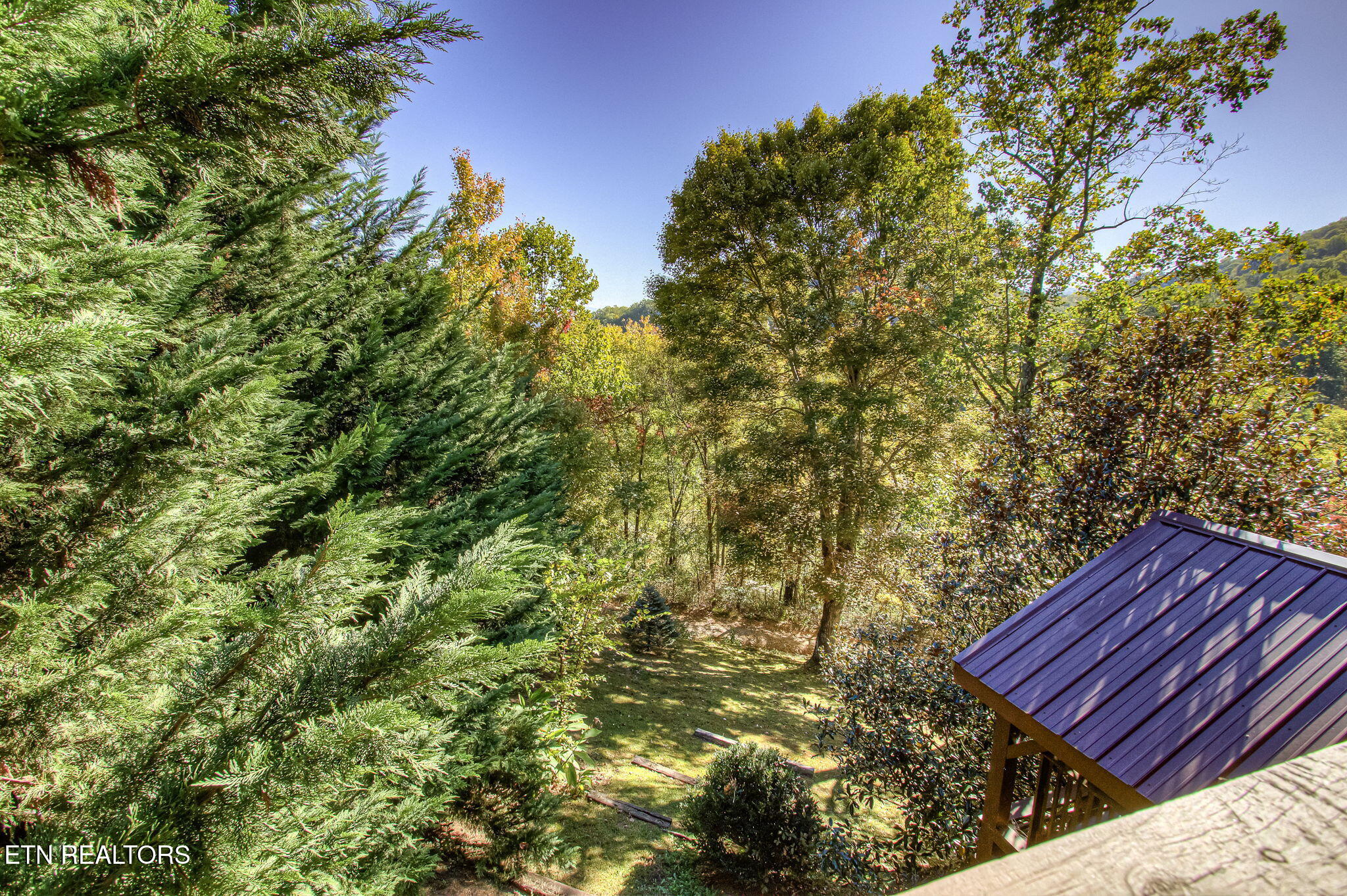 2409 Walnut Cove Way Sevierville TN 37862