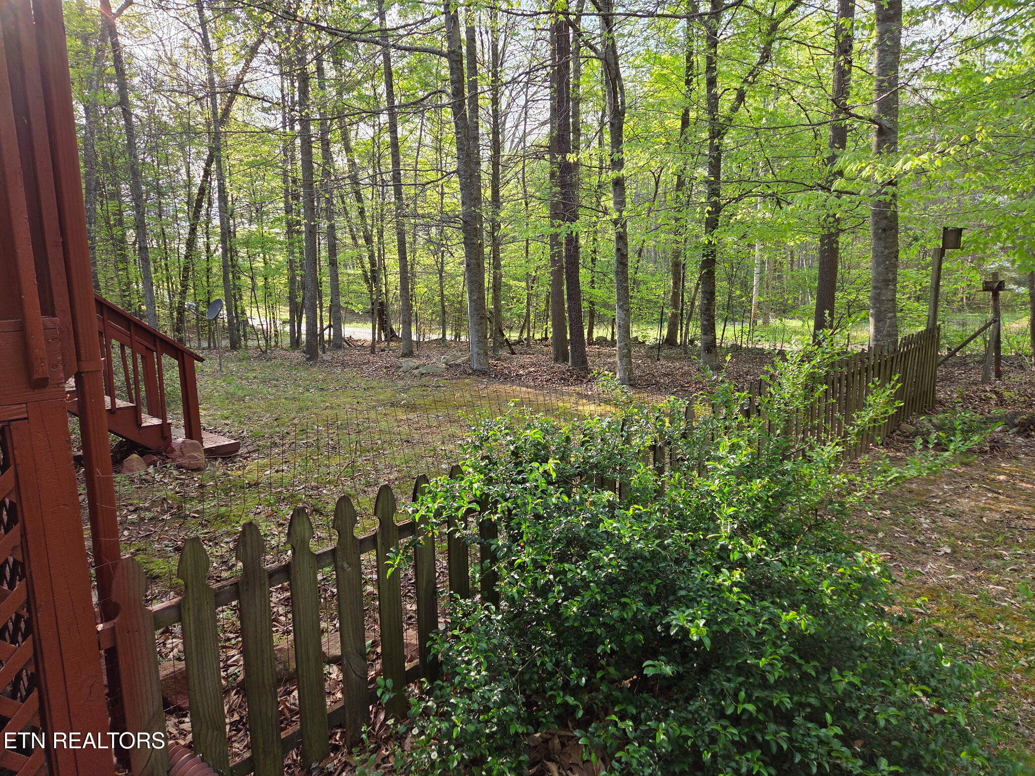279 Sub Road Cosby TN 37722
