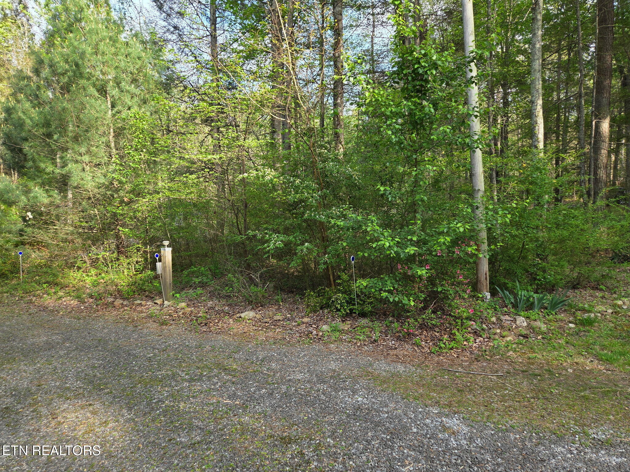 279 Sub Road Cosby TN 37722