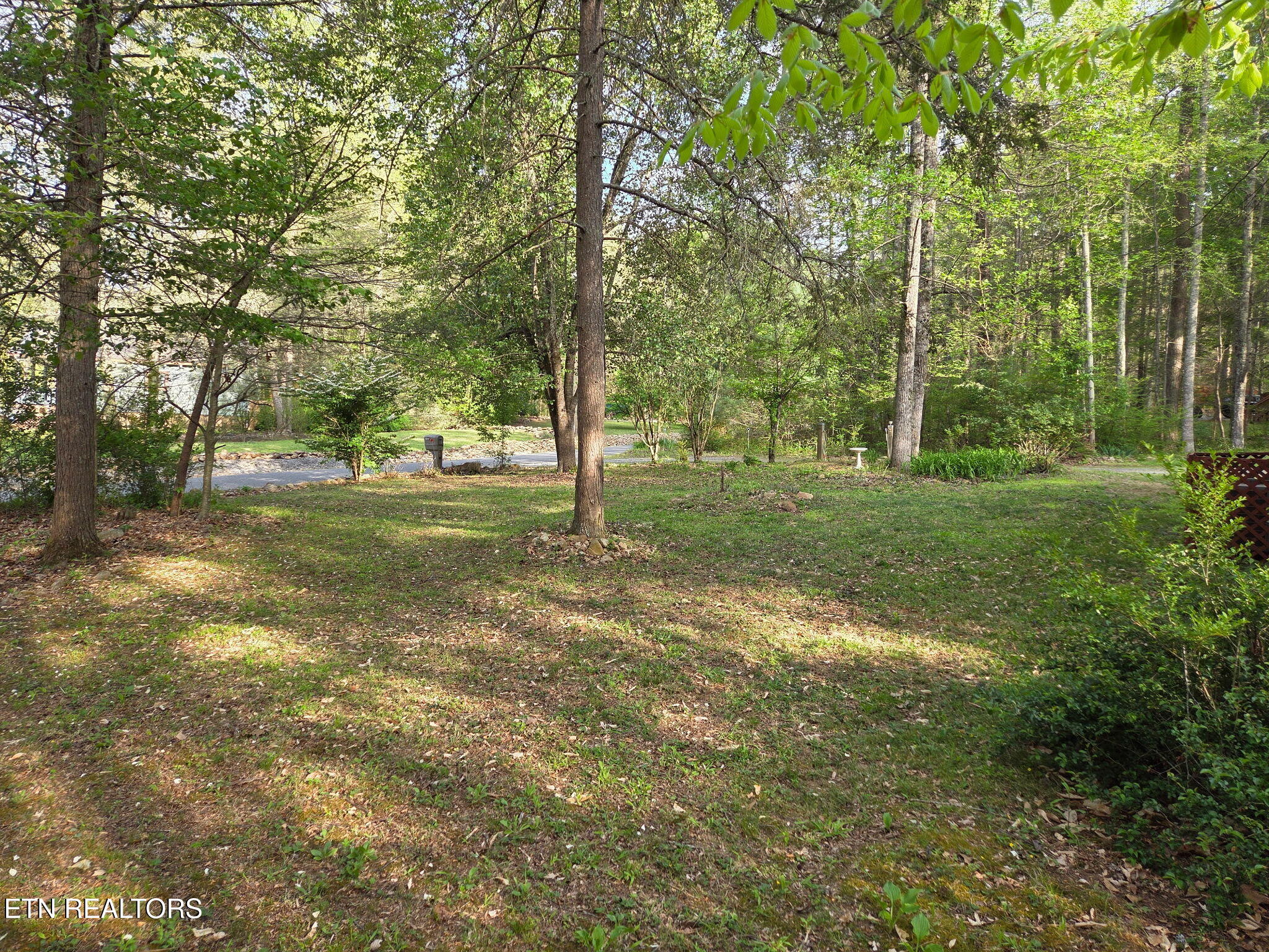 279 Sub Road Cosby TN 37722