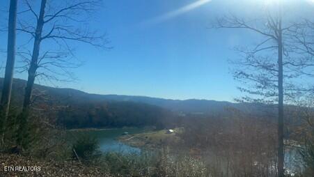 134 Skyview Road Speedwell TN 37870