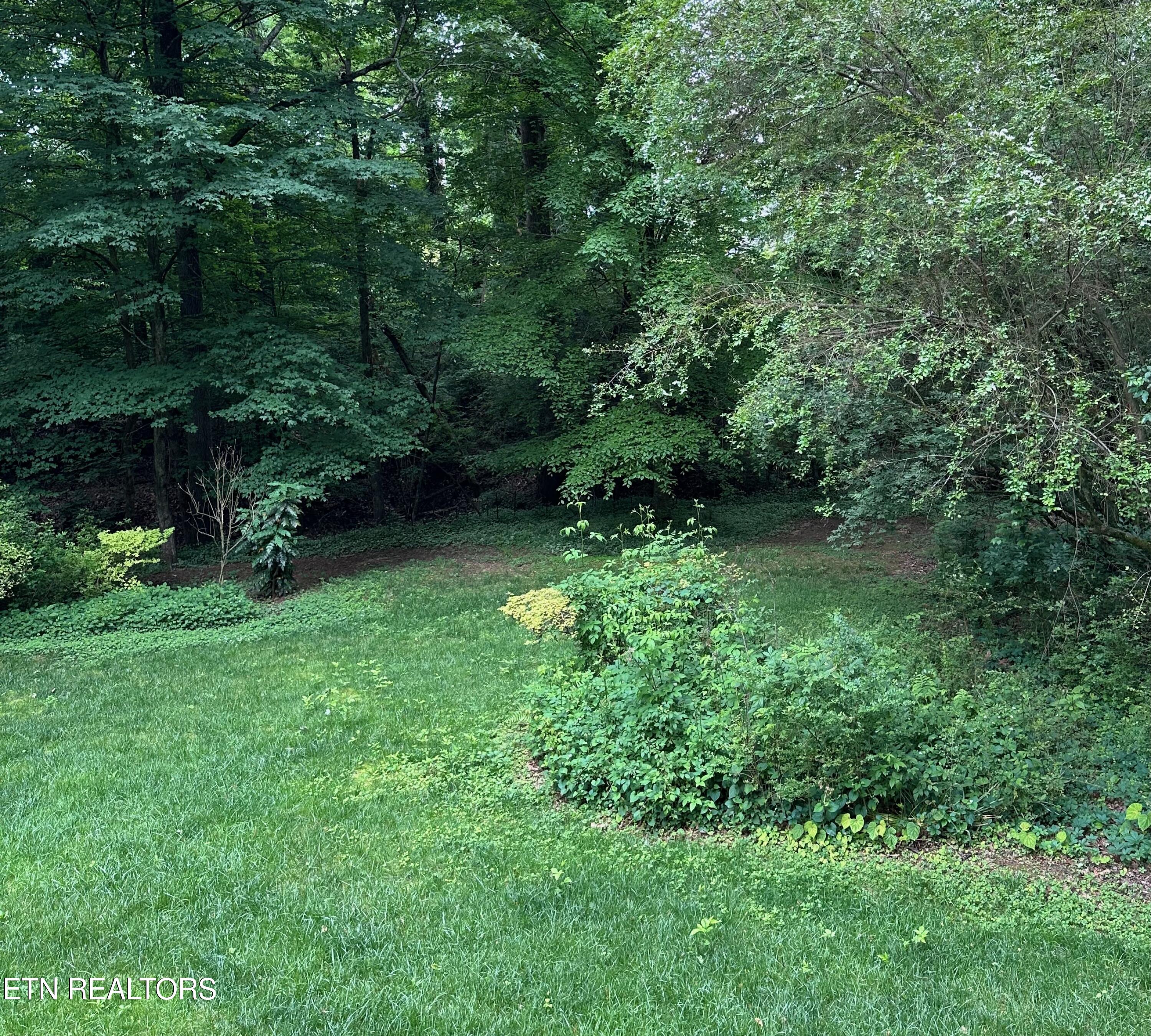 2136 Indian Hills Drive Knoxville TN 37919