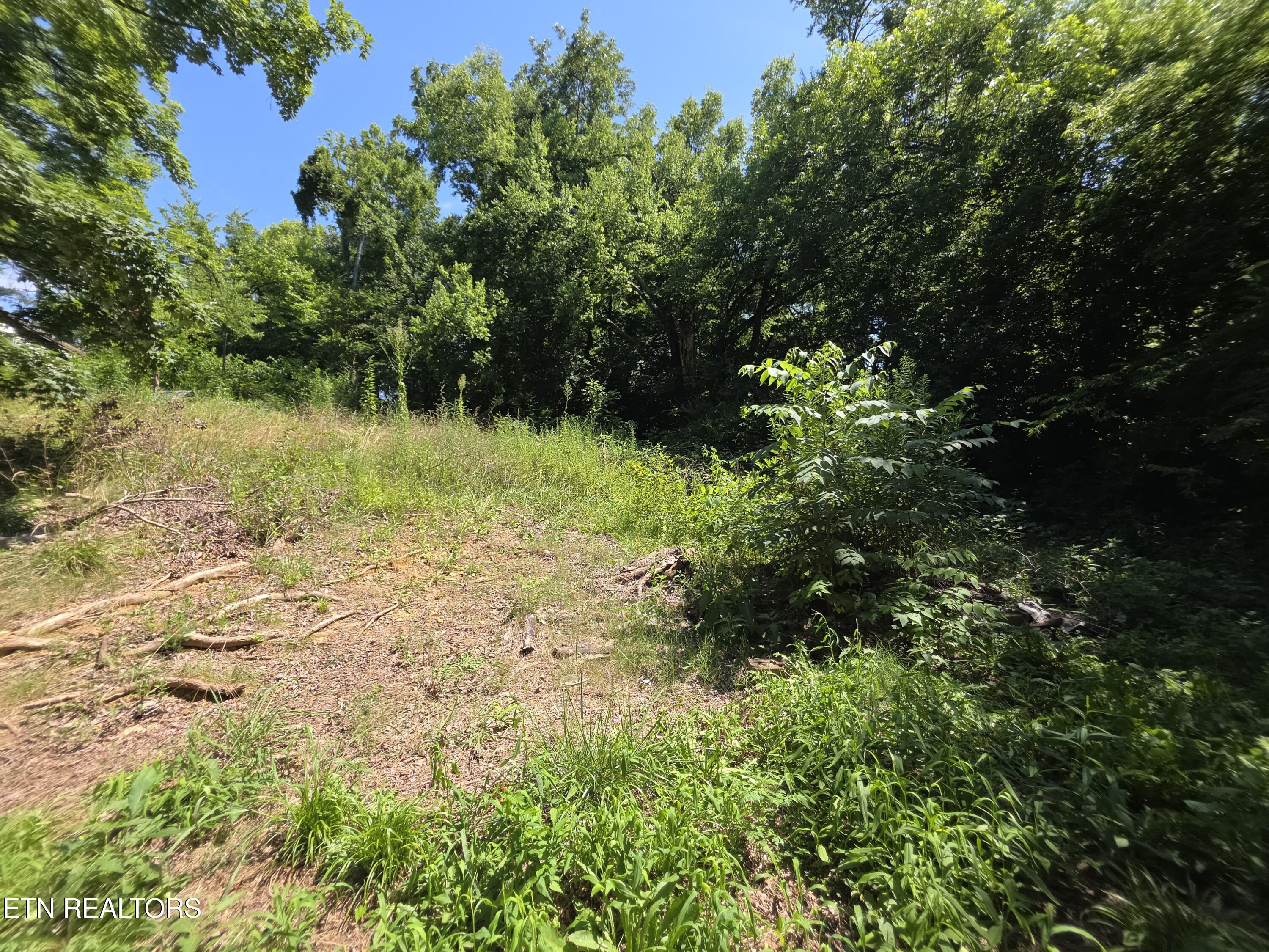 1101 Beardshire Street Sweetwater TN 37874