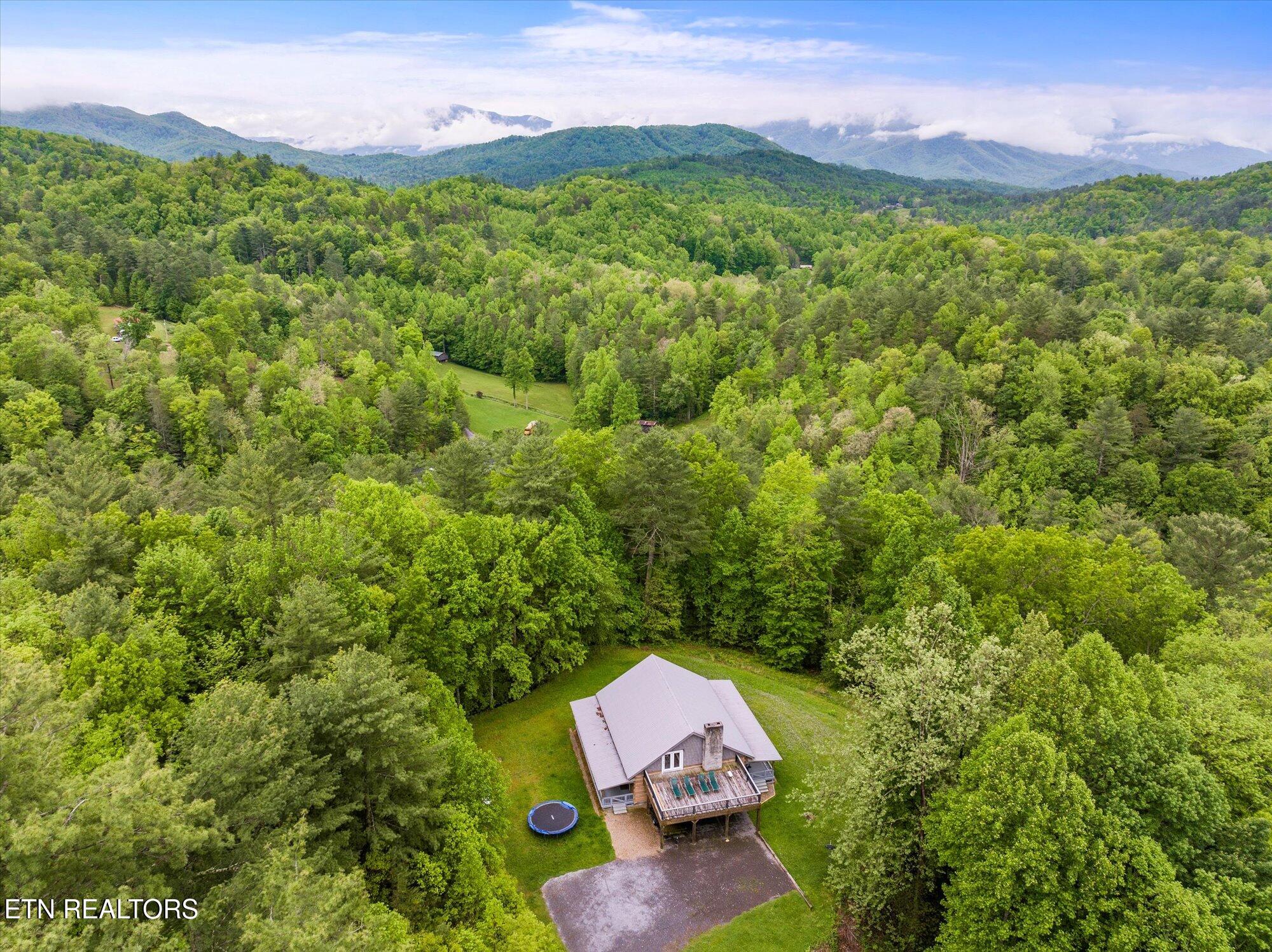 4620 Teague Branch Road Hartford TN 37753