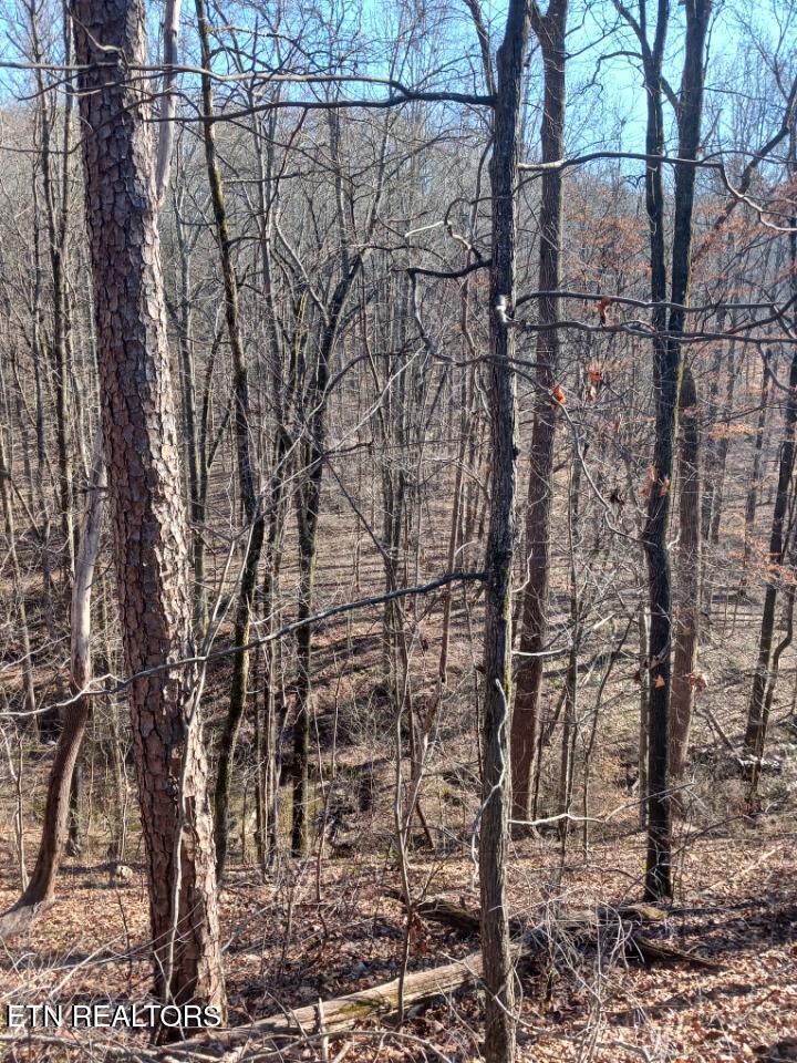 311 Roberts Mill Road Hixson TN 37343
