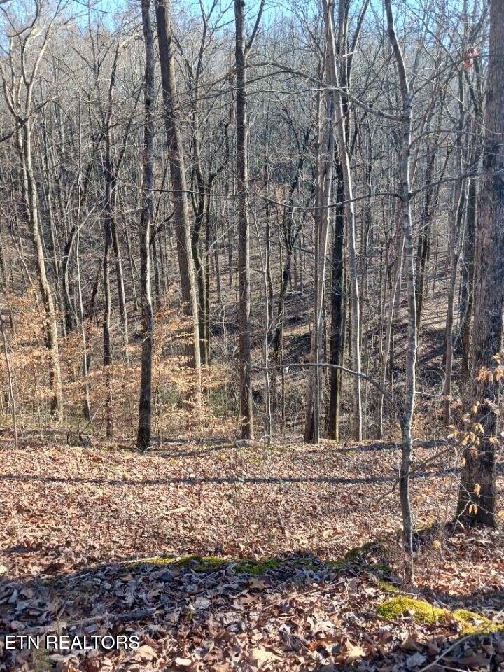 311 Roberts Mill Road Hixson TN 37343