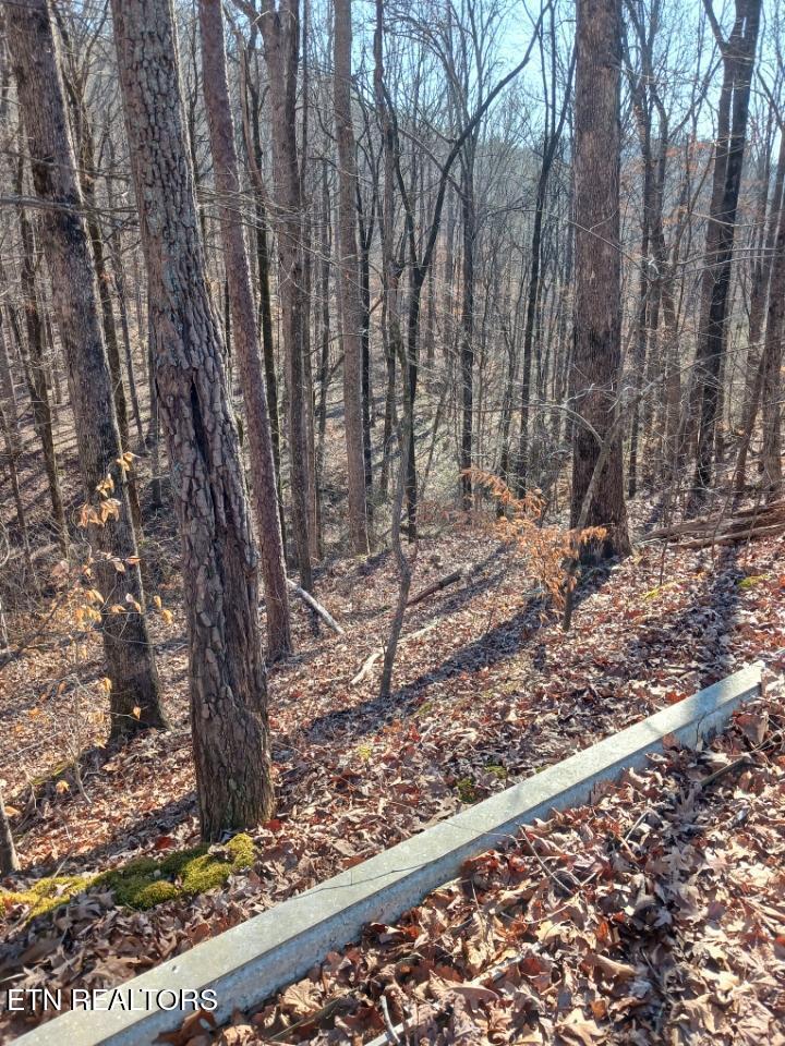 311 Roberts Mill Road Hixson TN 37343