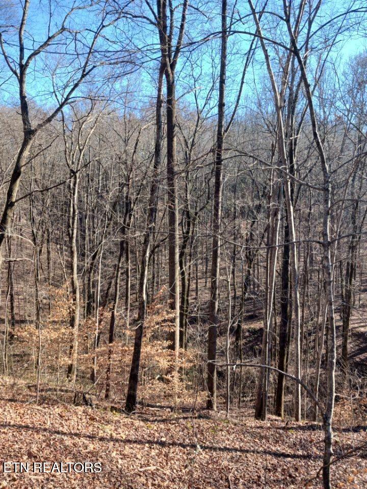 311 Roberts Mill Road Hixson TN 37343