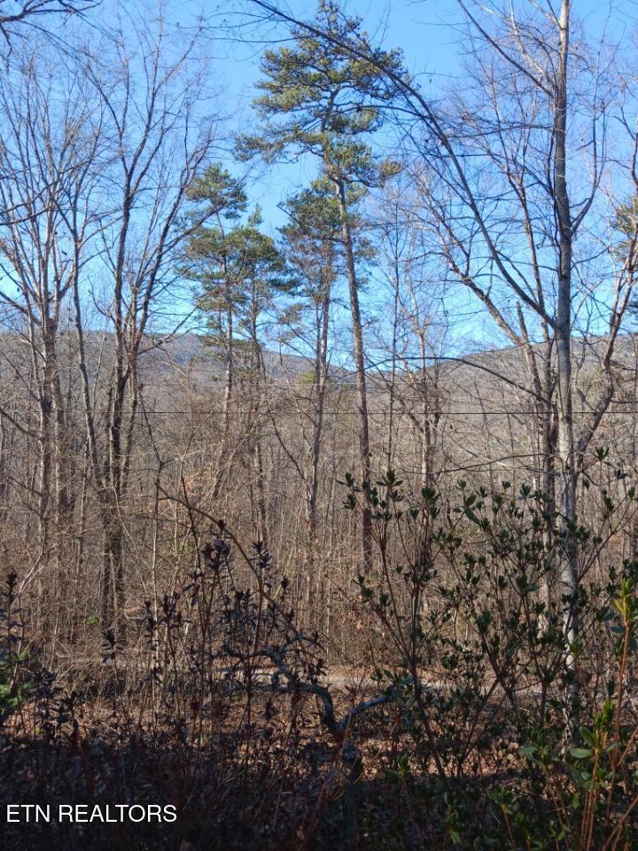 311 Roberts Mill Road Hixson TN 37343