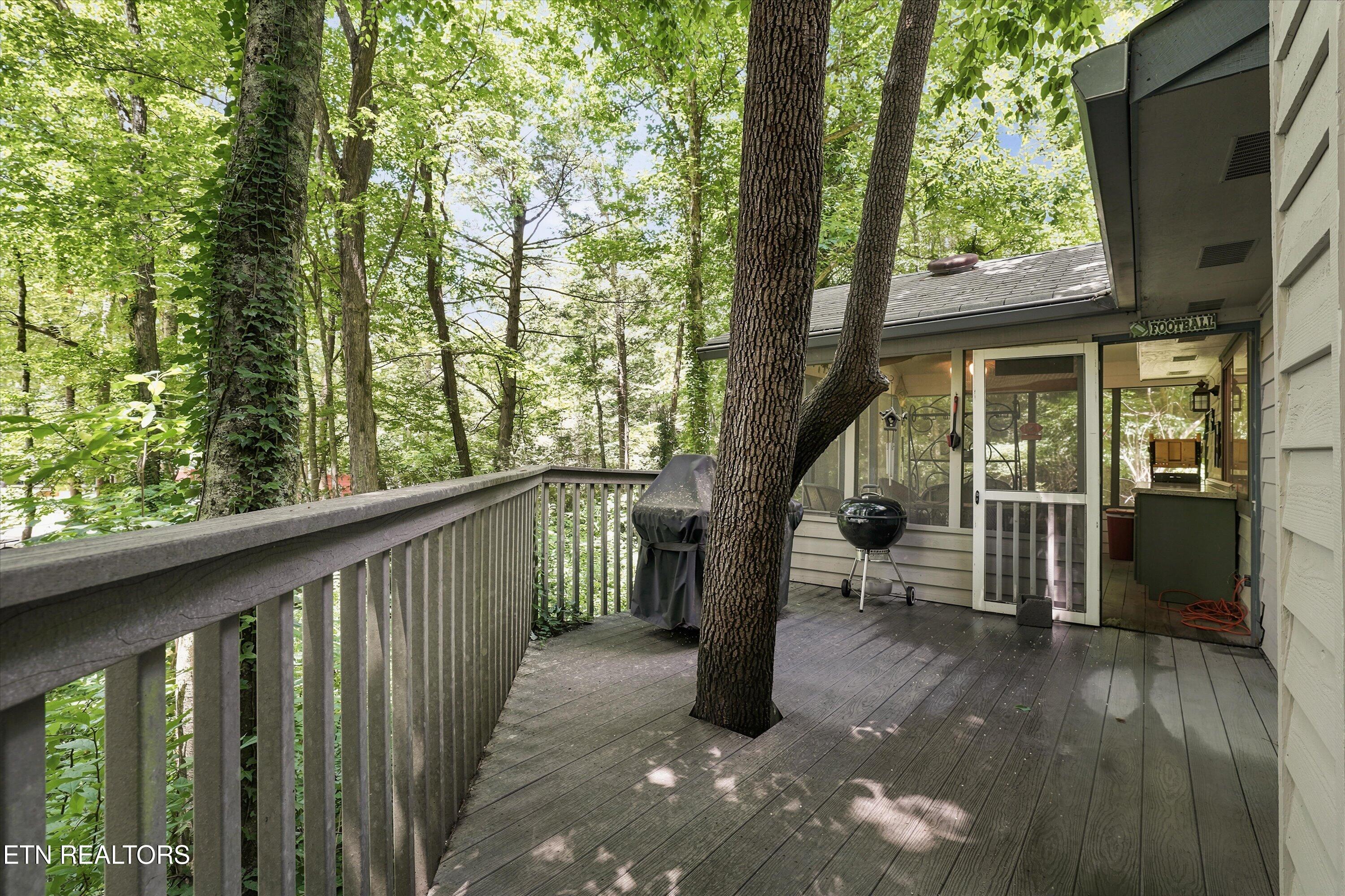 211 Webb Creek Skyline Drive Gatlinburg TN 37738