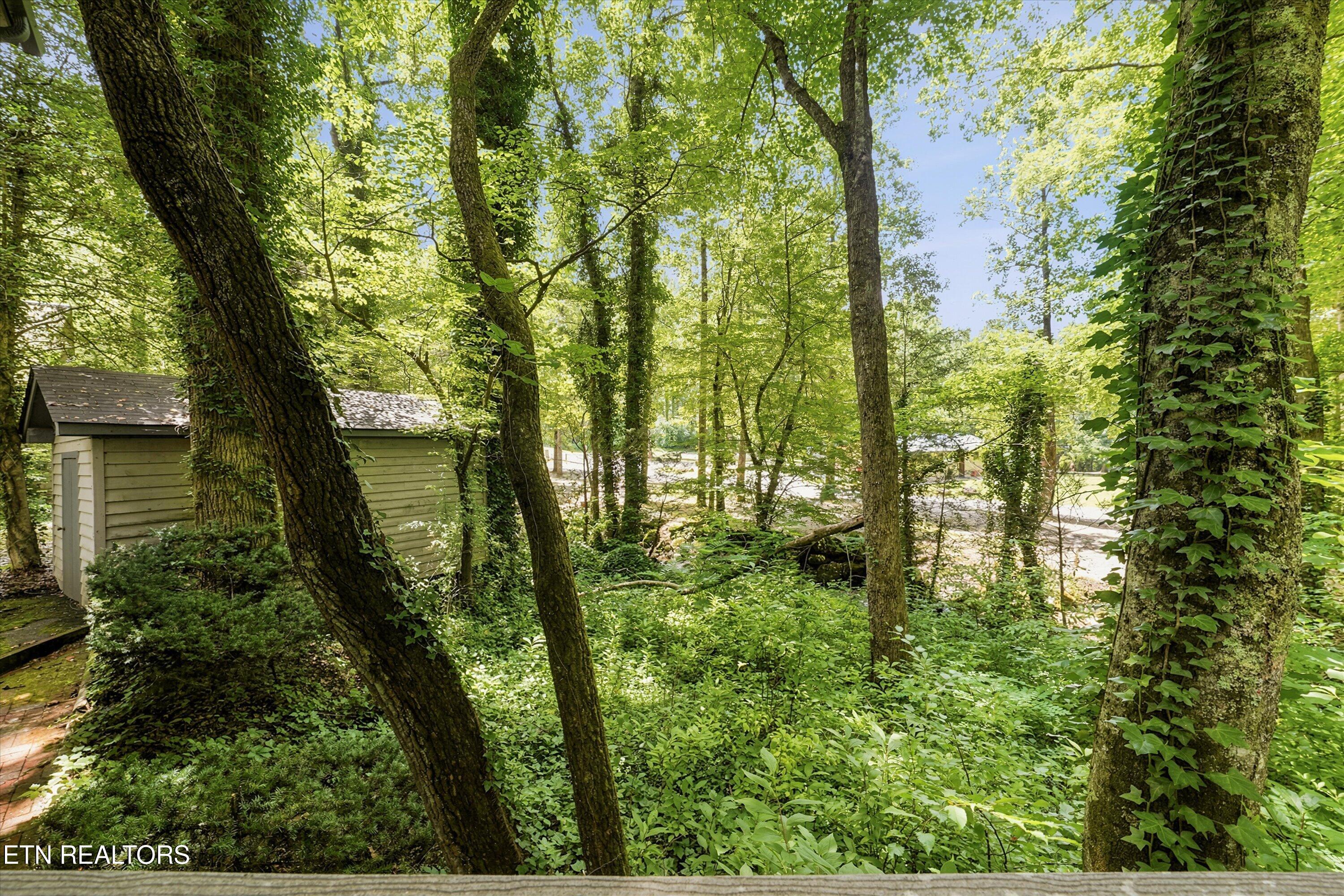 211 Webb Creek Skyline Drive Gatlinburg TN 37738