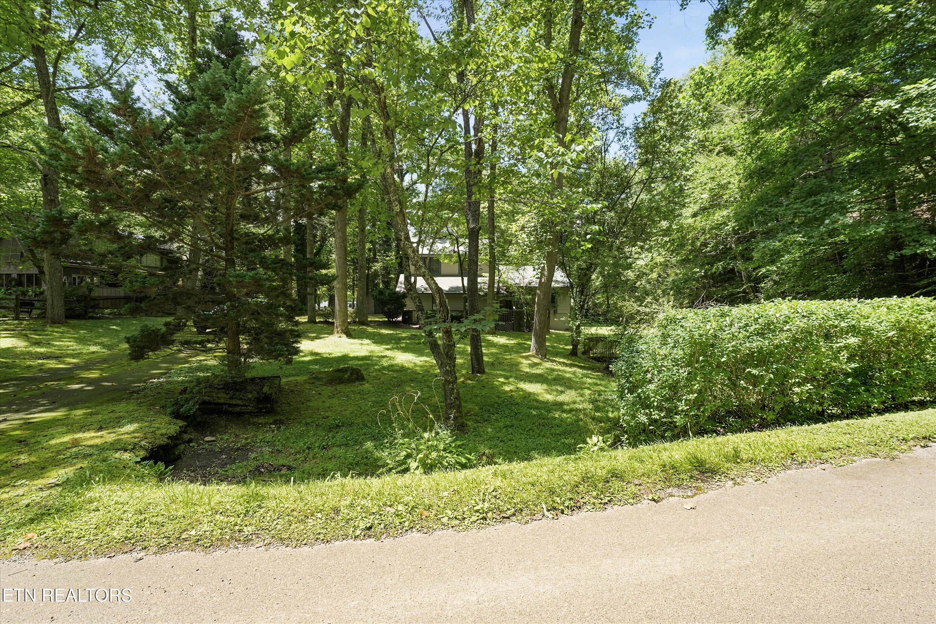 211 Webb Creek Skyline Drive Gatlinburg TN 37738