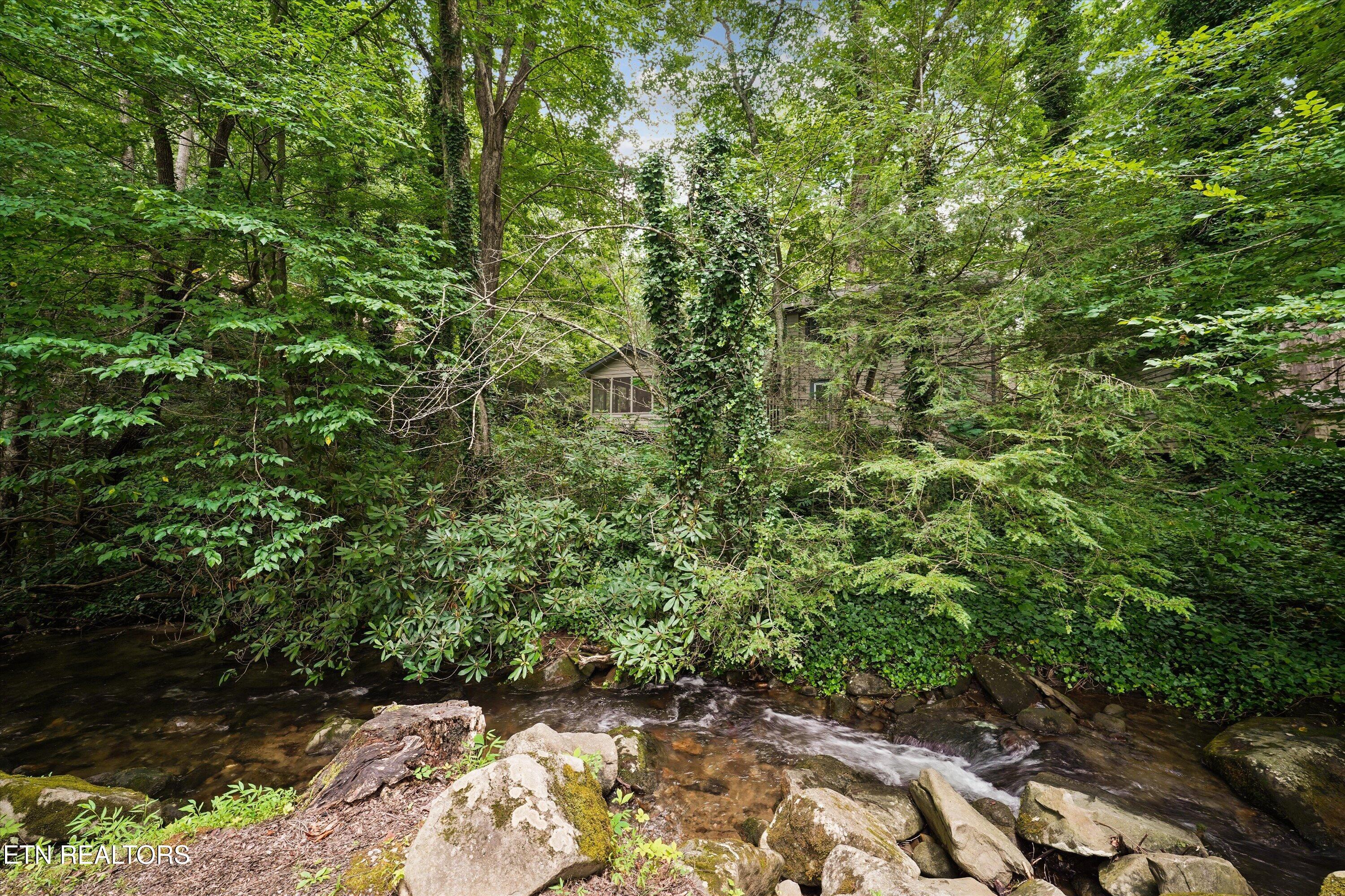 211 Webb Creek Skyline Drive Gatlinburg TN 37738