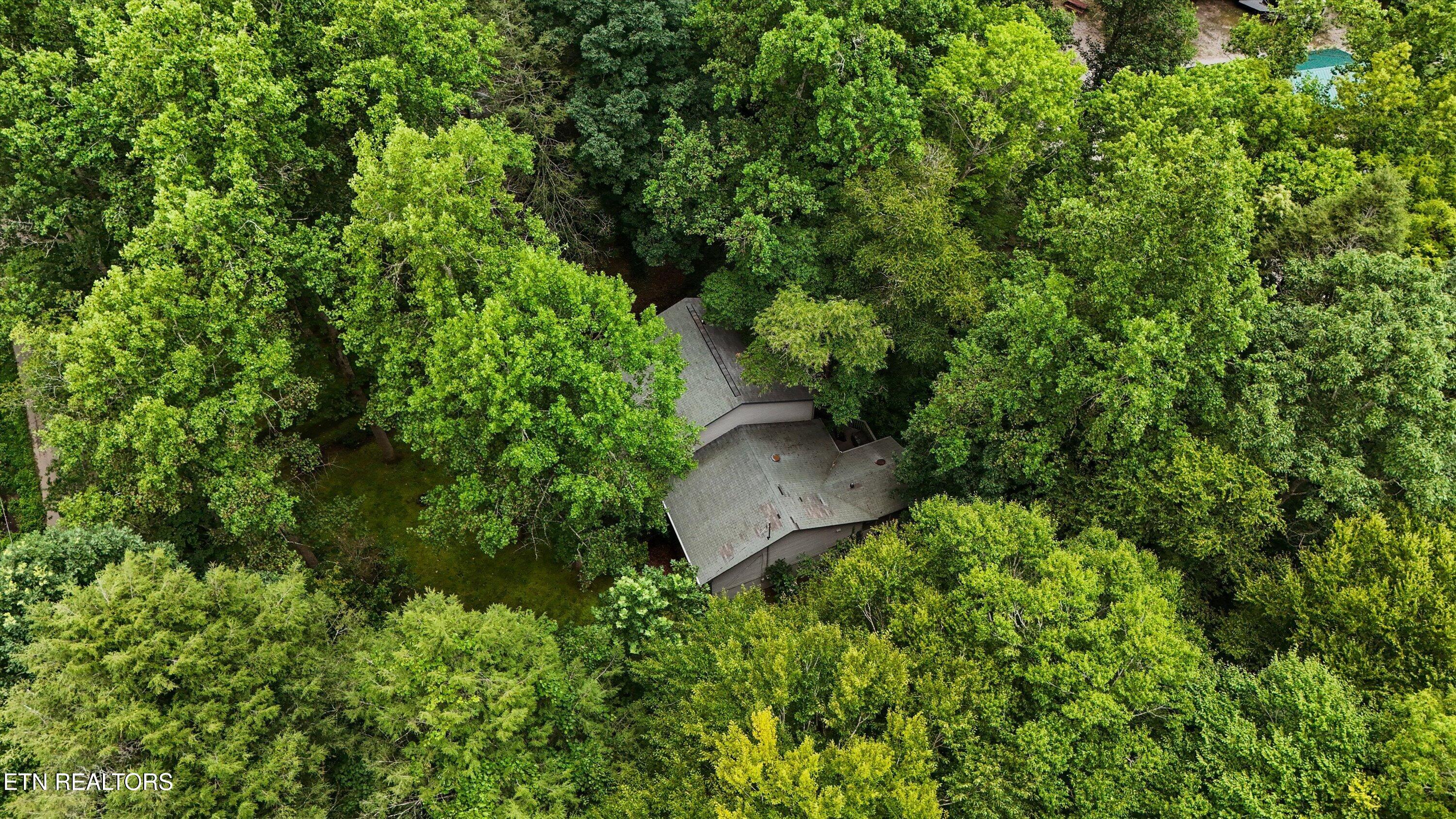 211 Webb Creek Skyline Drive Gatlinburg TN 37738