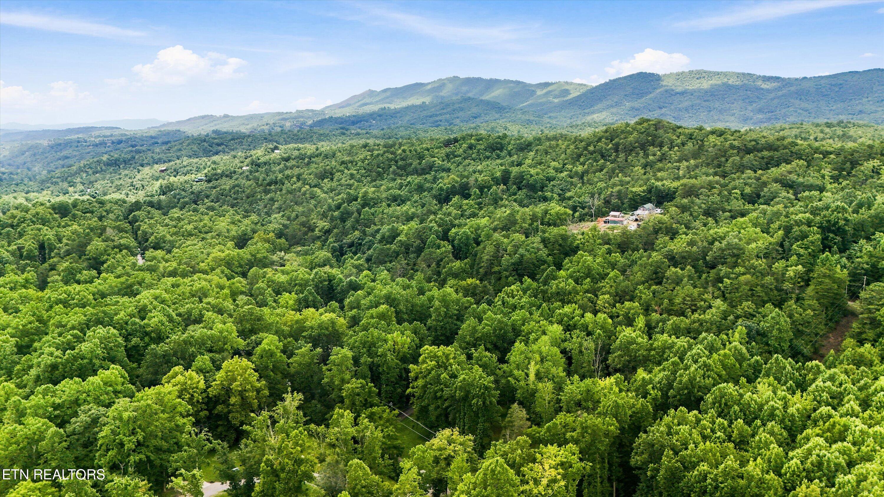 211 Webb Creek Skyline Drive Gatlinburg TN 37738