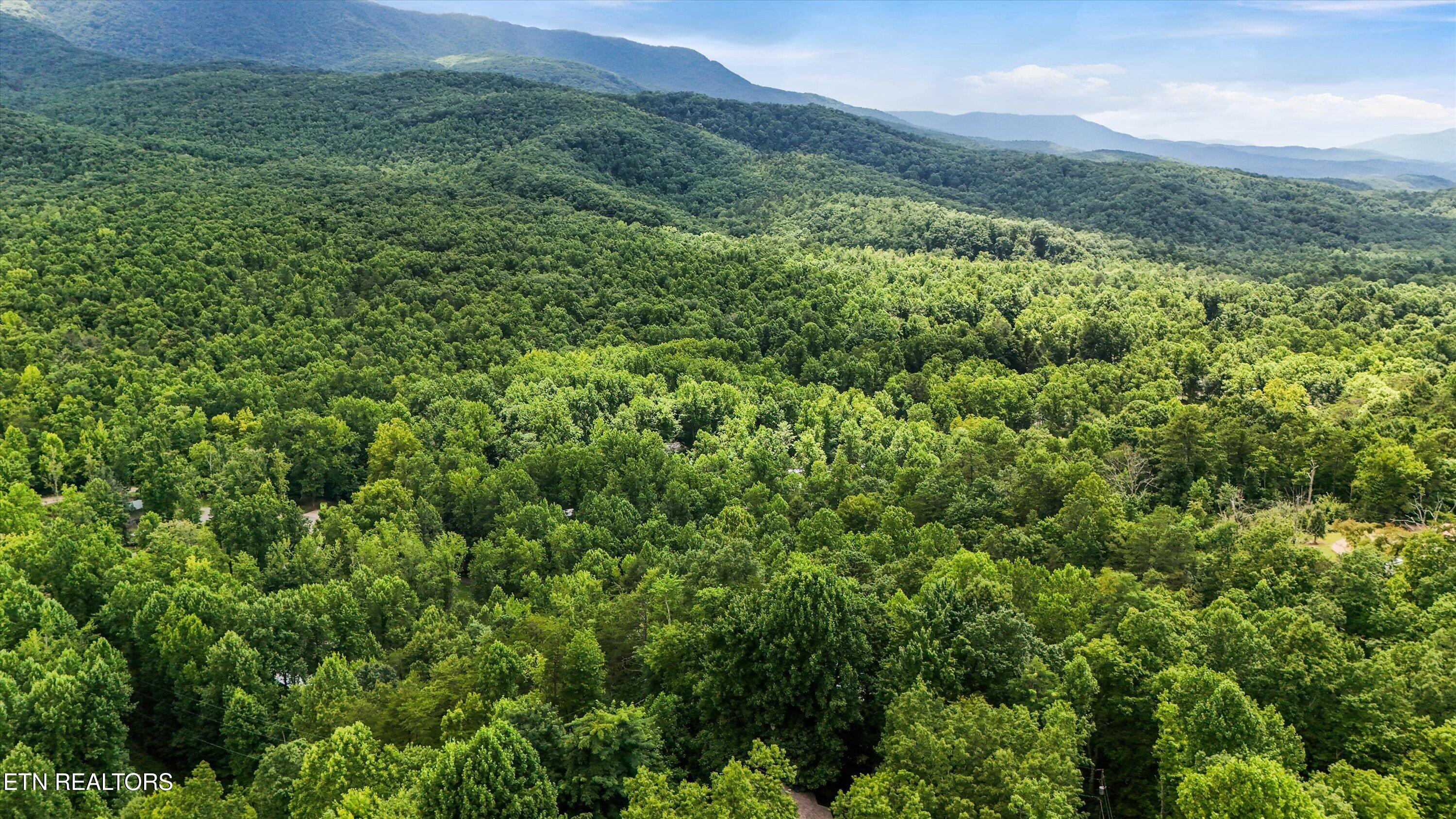 211 Webb Creek Skyline Drive Gatlinburg TN 37738