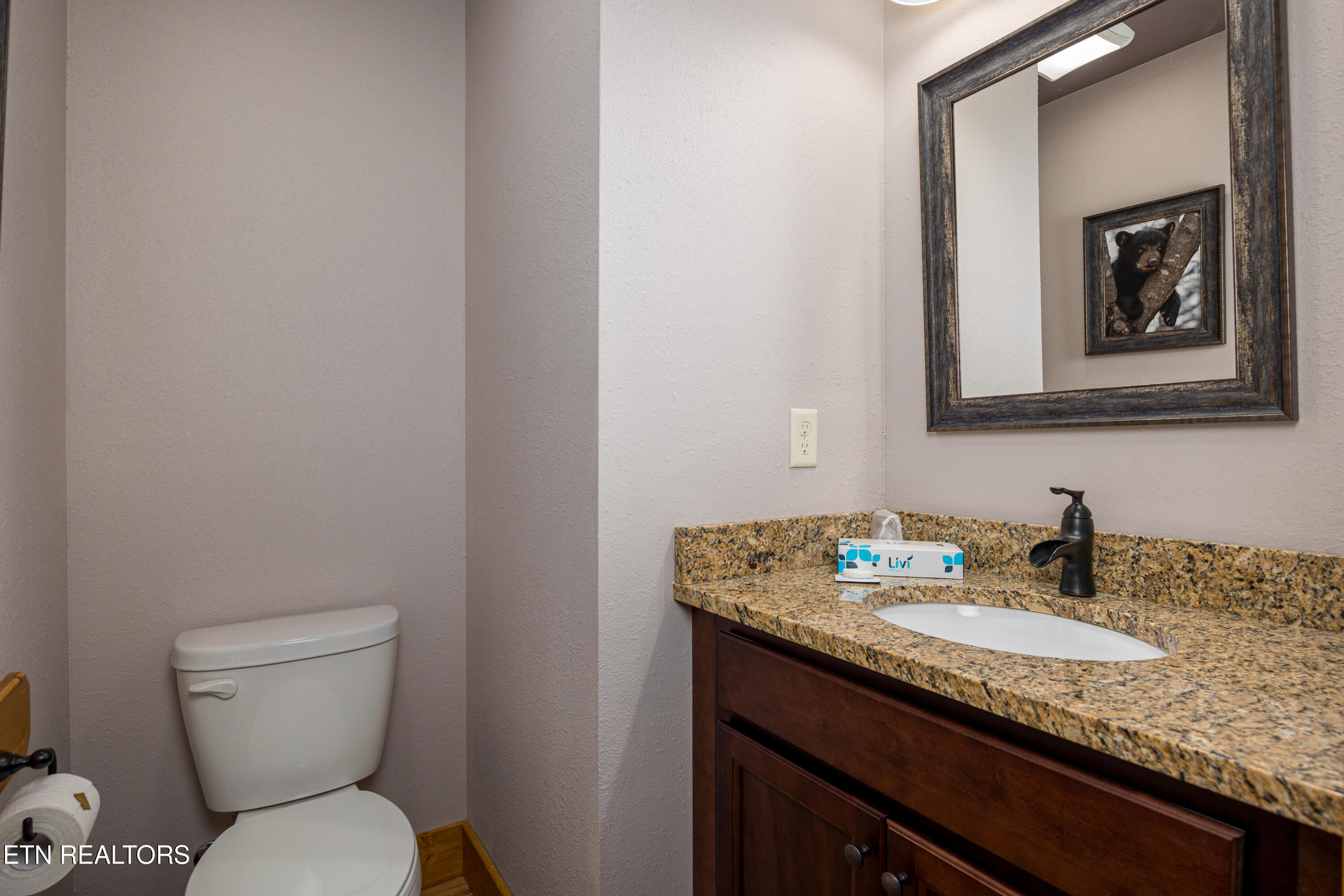 1011 Potters Way Gatlinburg TN 37738