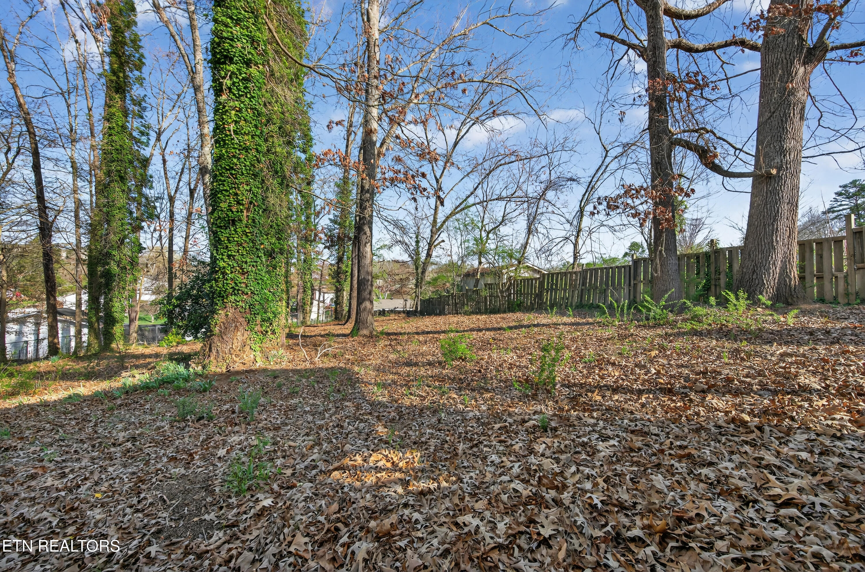 1029 Lovell View Drive Knoxville TN 37932