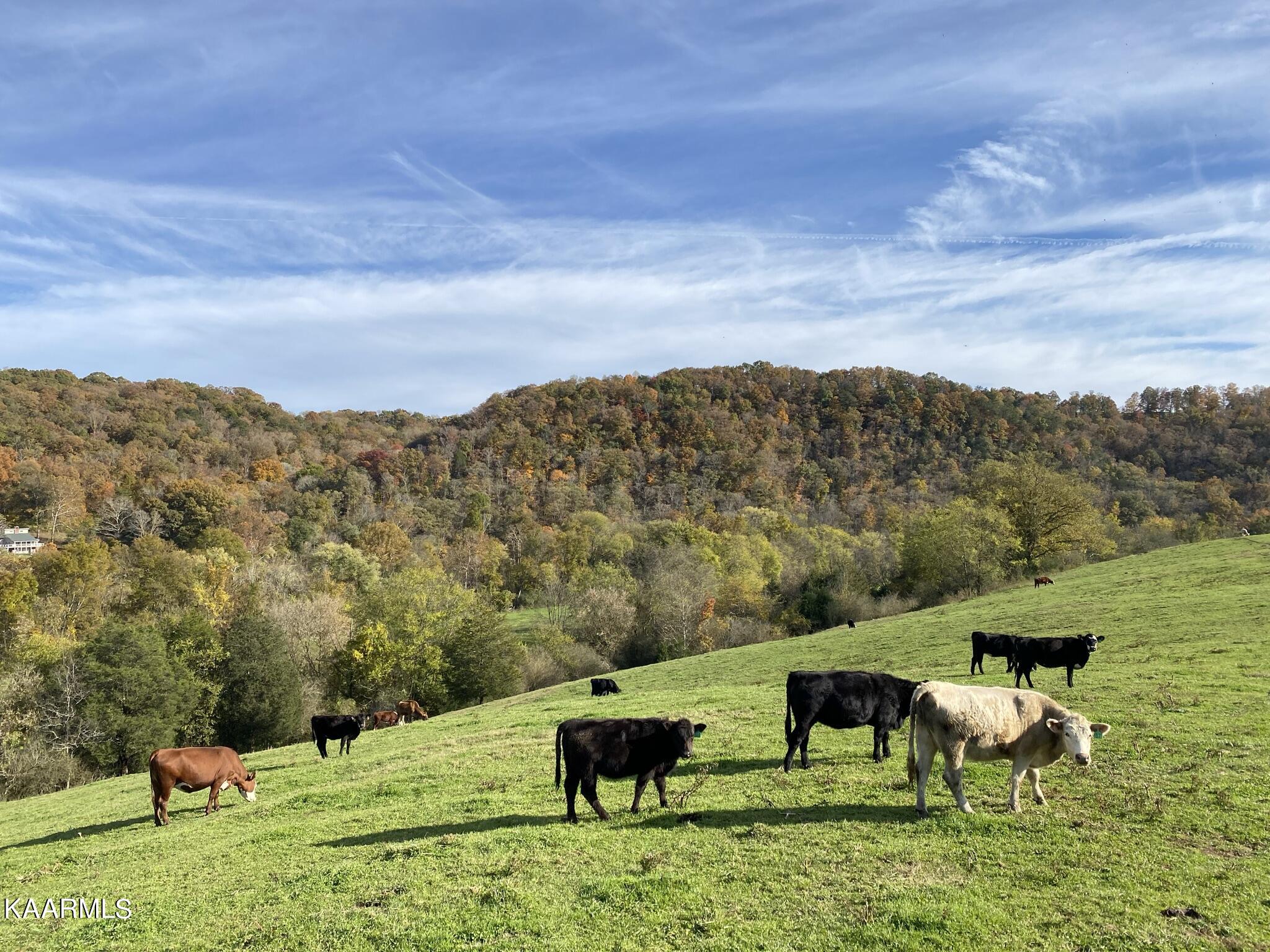 311 Ross Cemetery Road Rocky Top TN 37769