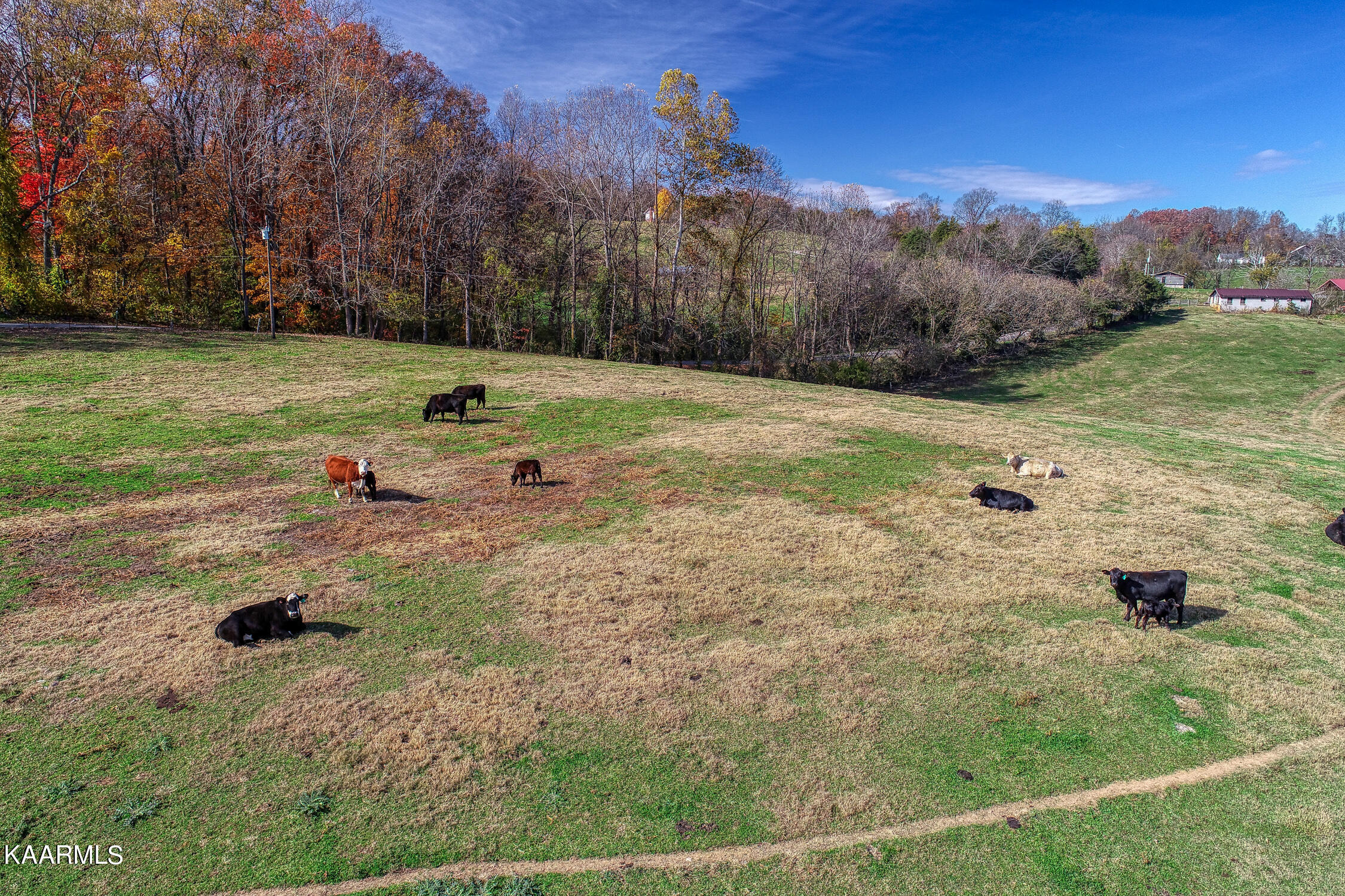 311 Ross Cemetery Road Rocky Top TN 37769
