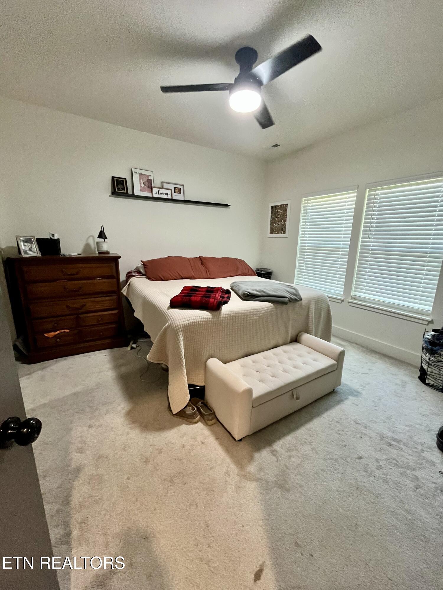 243 Lydia Way Blaine TN 37709