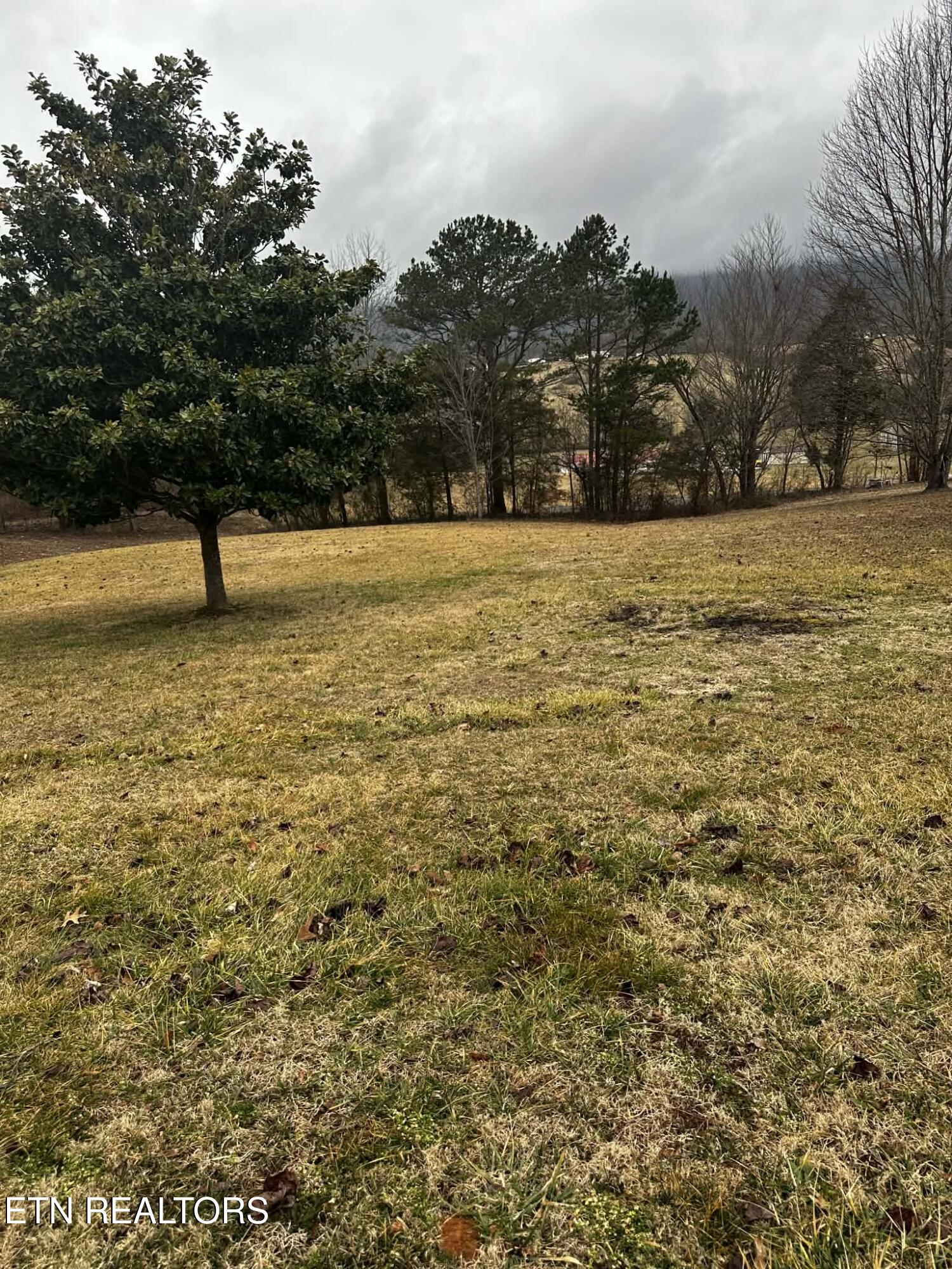 111 Fred Russell Lane Speedwell TN 37870
