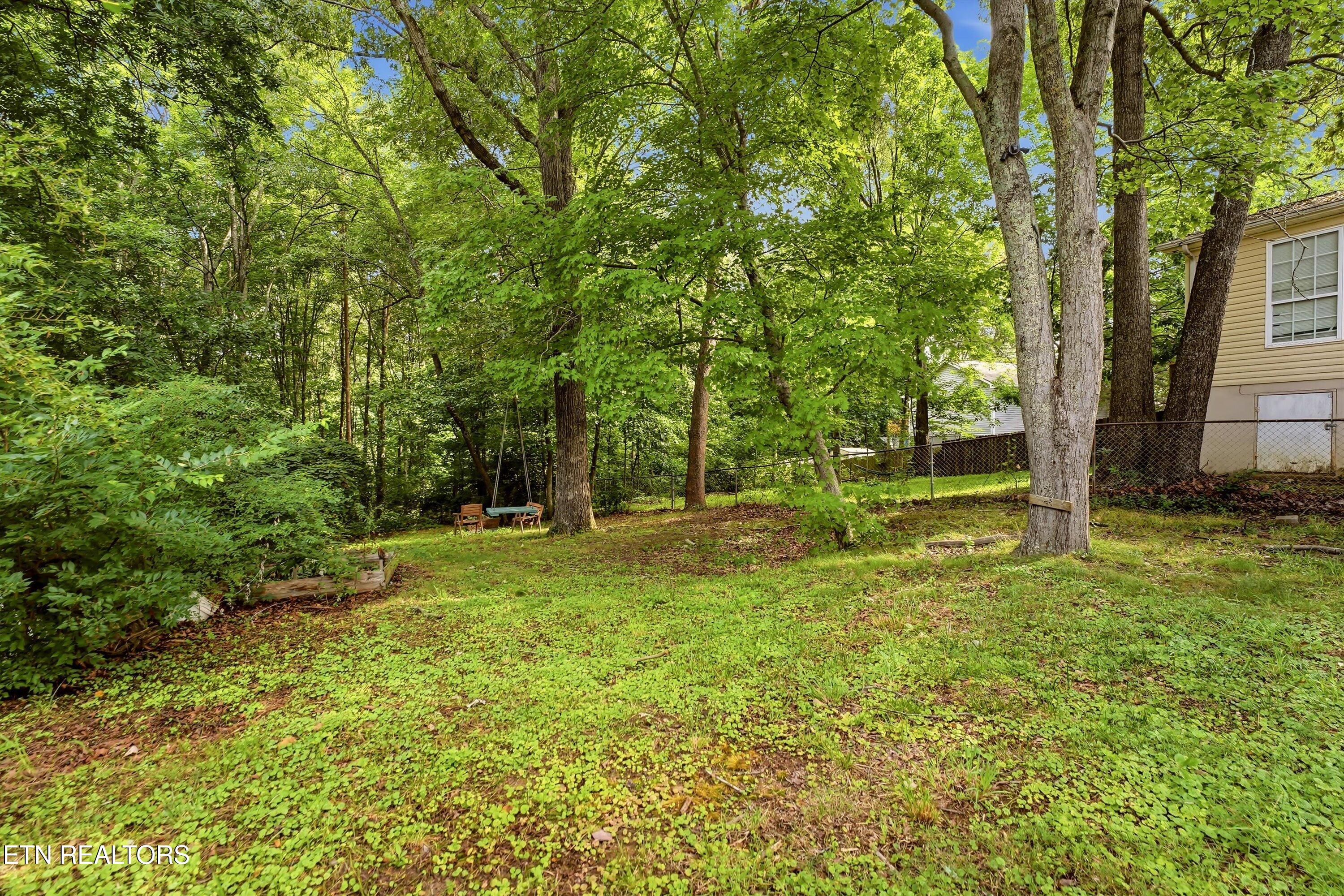 1503 Woodpointe Drive Knoxville TN 37931