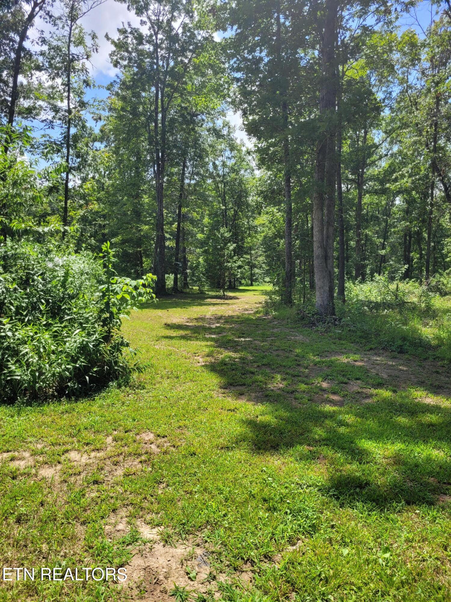 2891 Stockton Road Jamestown TN 38556